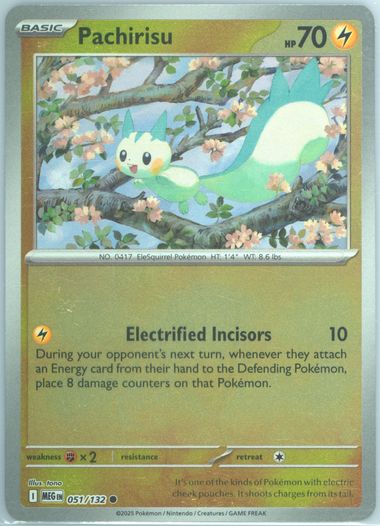 Pachirisu