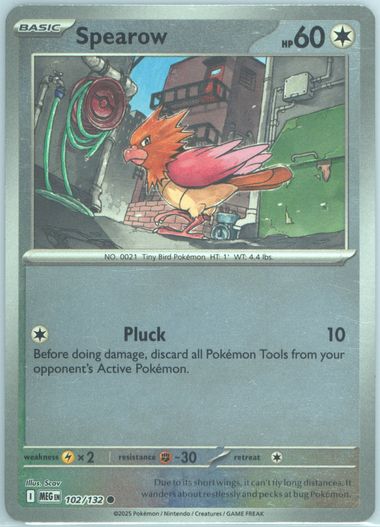 Spearow