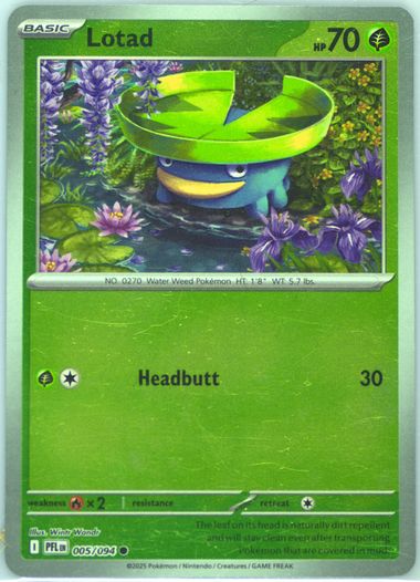 Lotad