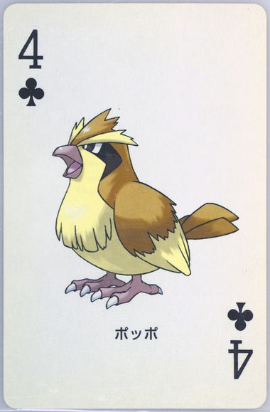 Pidgey