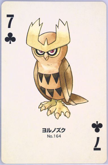 Noctowl