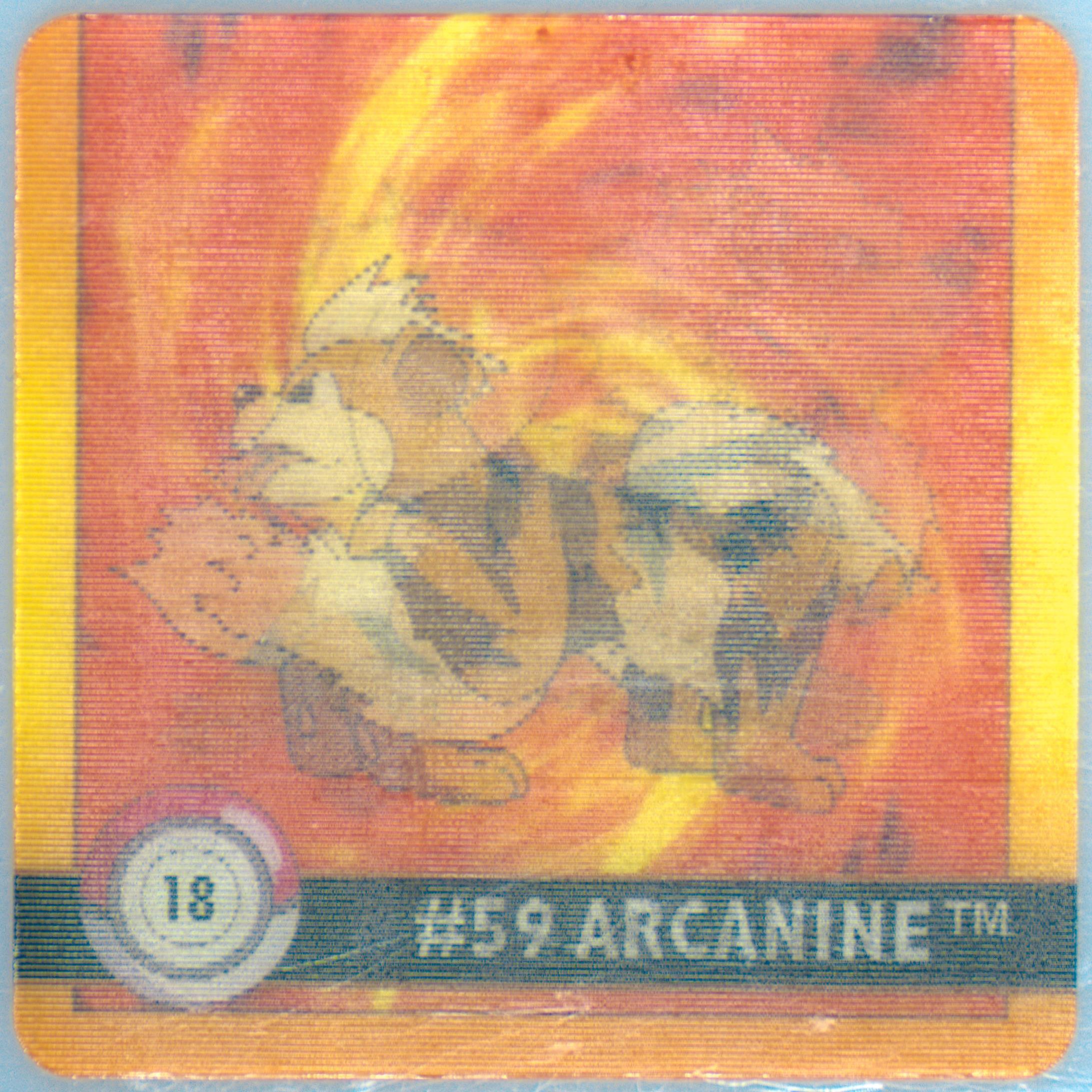 Arcanine/Growlithe