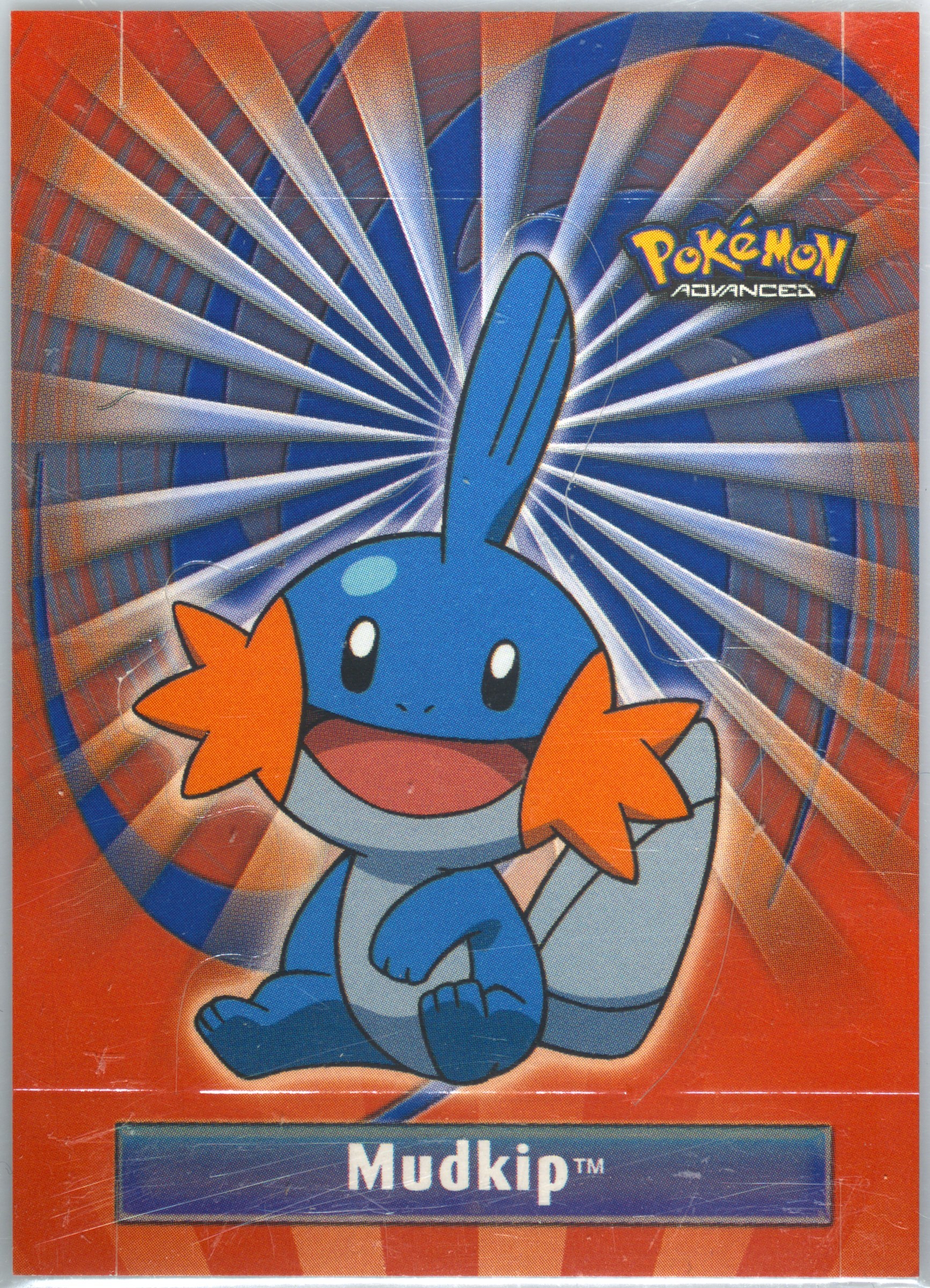 Mudkip