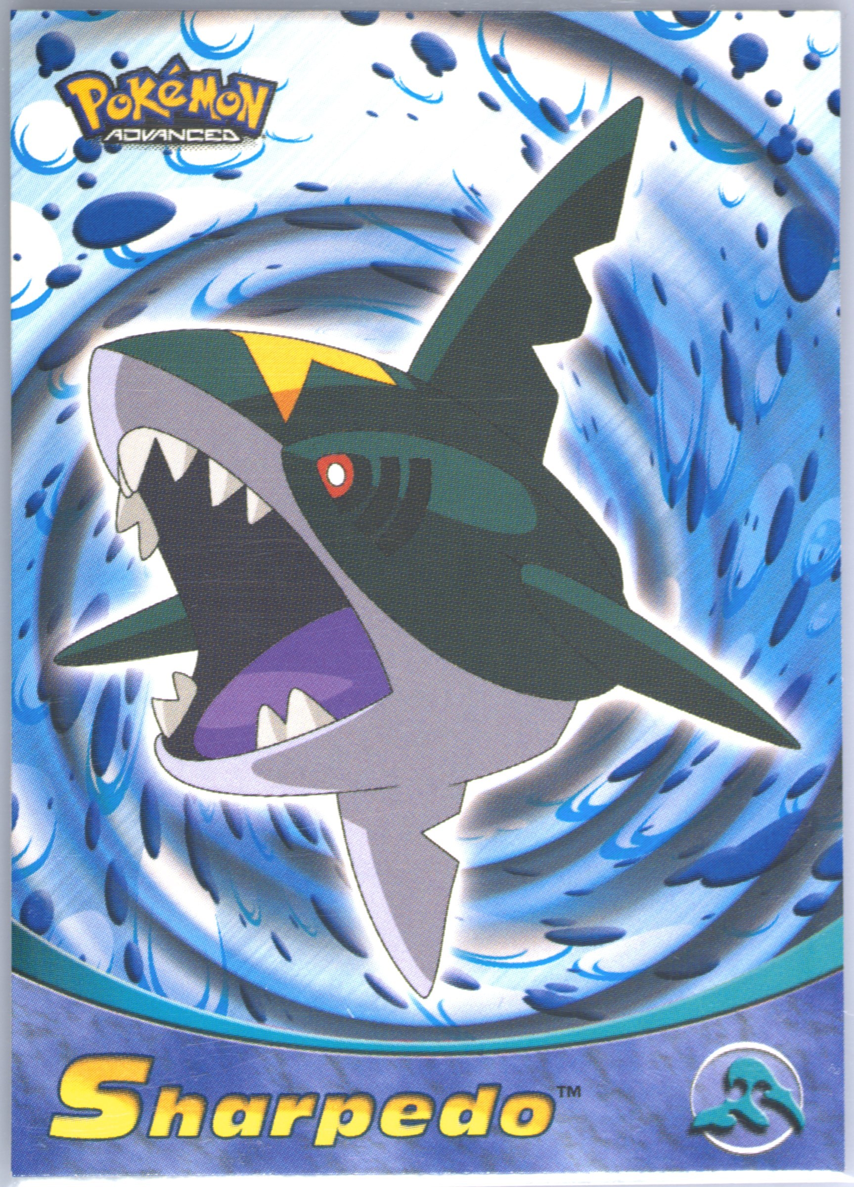 Sharpedo