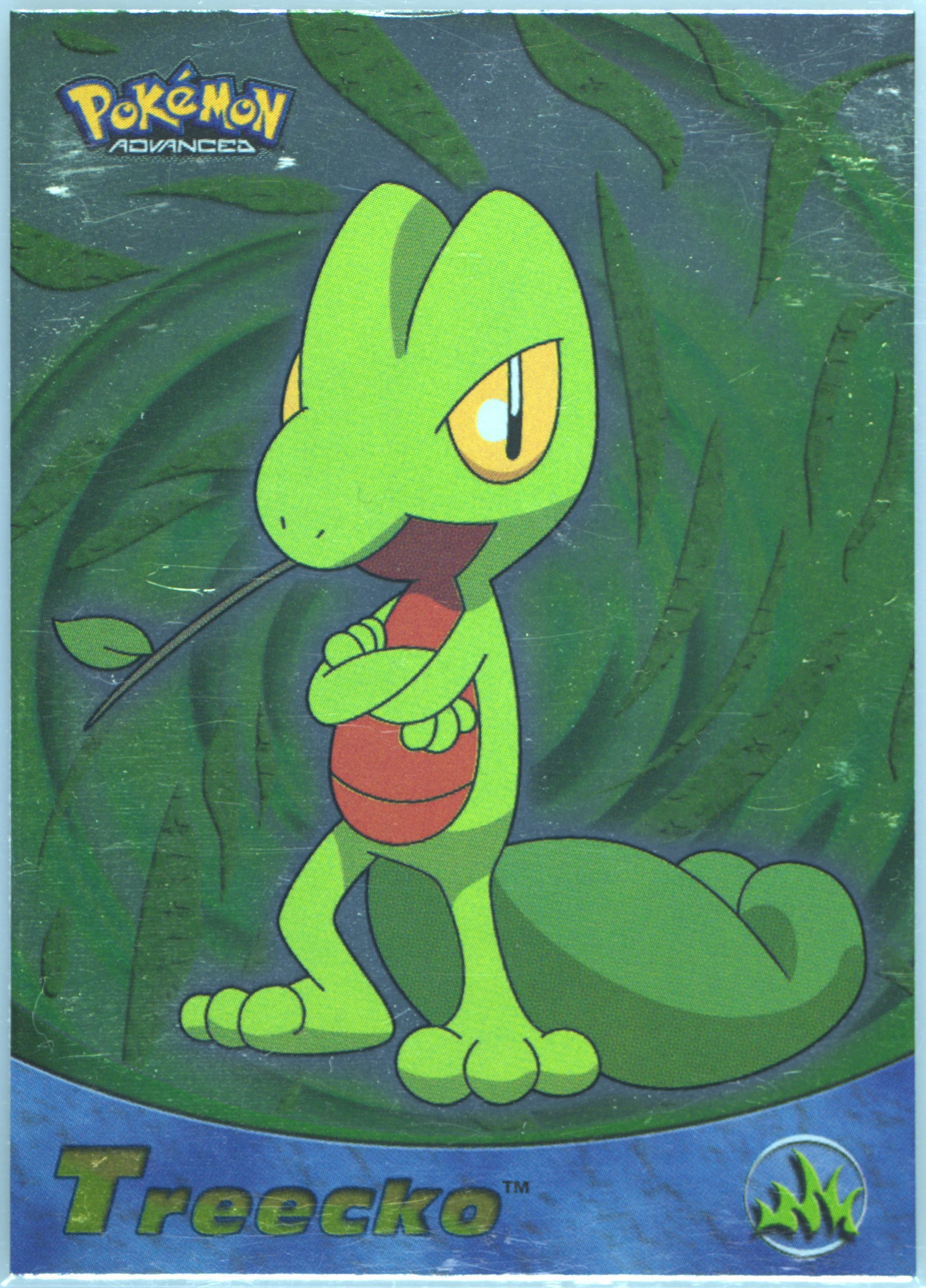Treecko