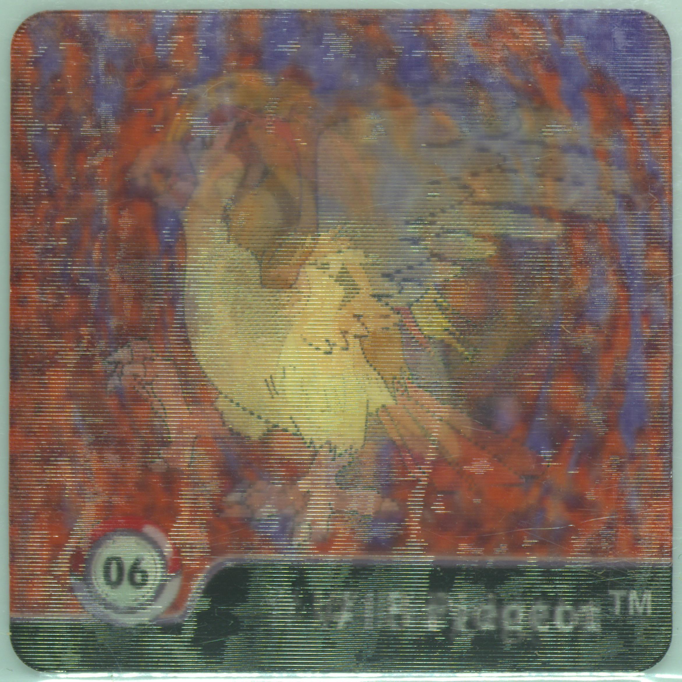 Pidgeot/Pidgeotto/Pidgey