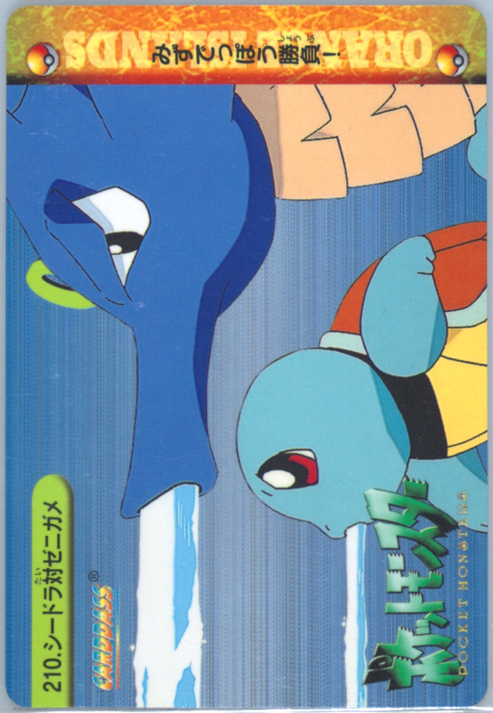 Squirtle & Seadra