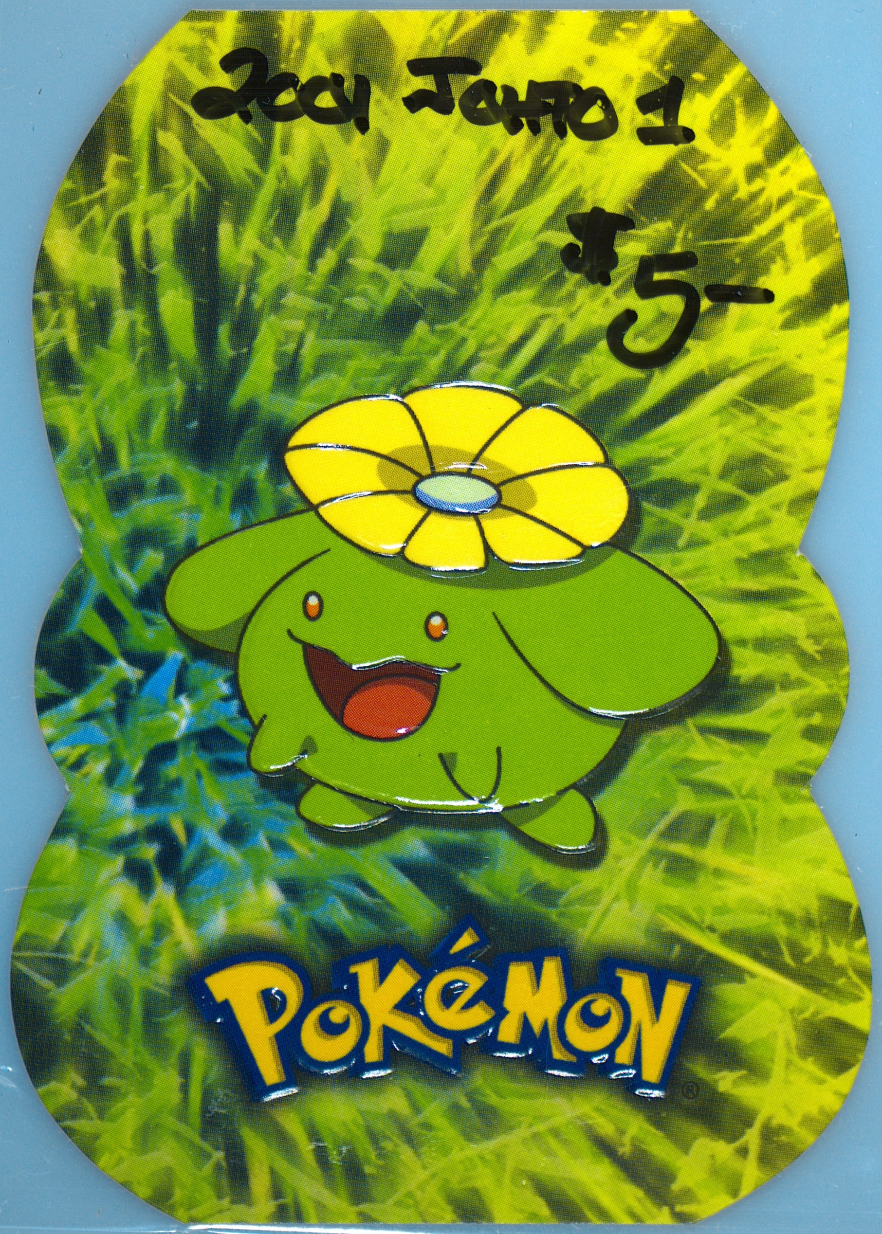 Skiploom