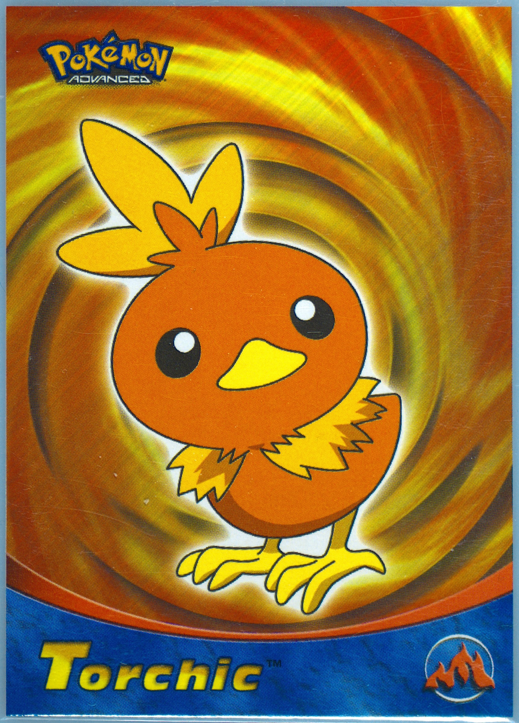 Torchic