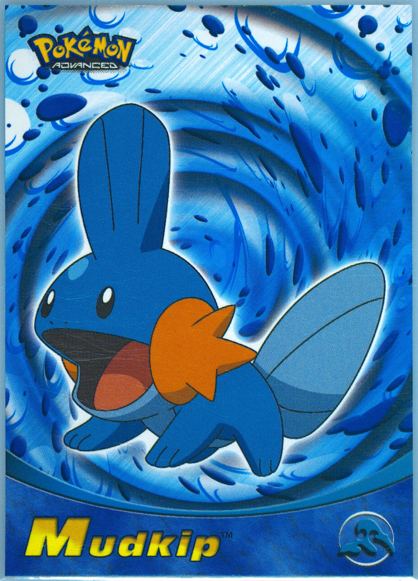 Mudkip