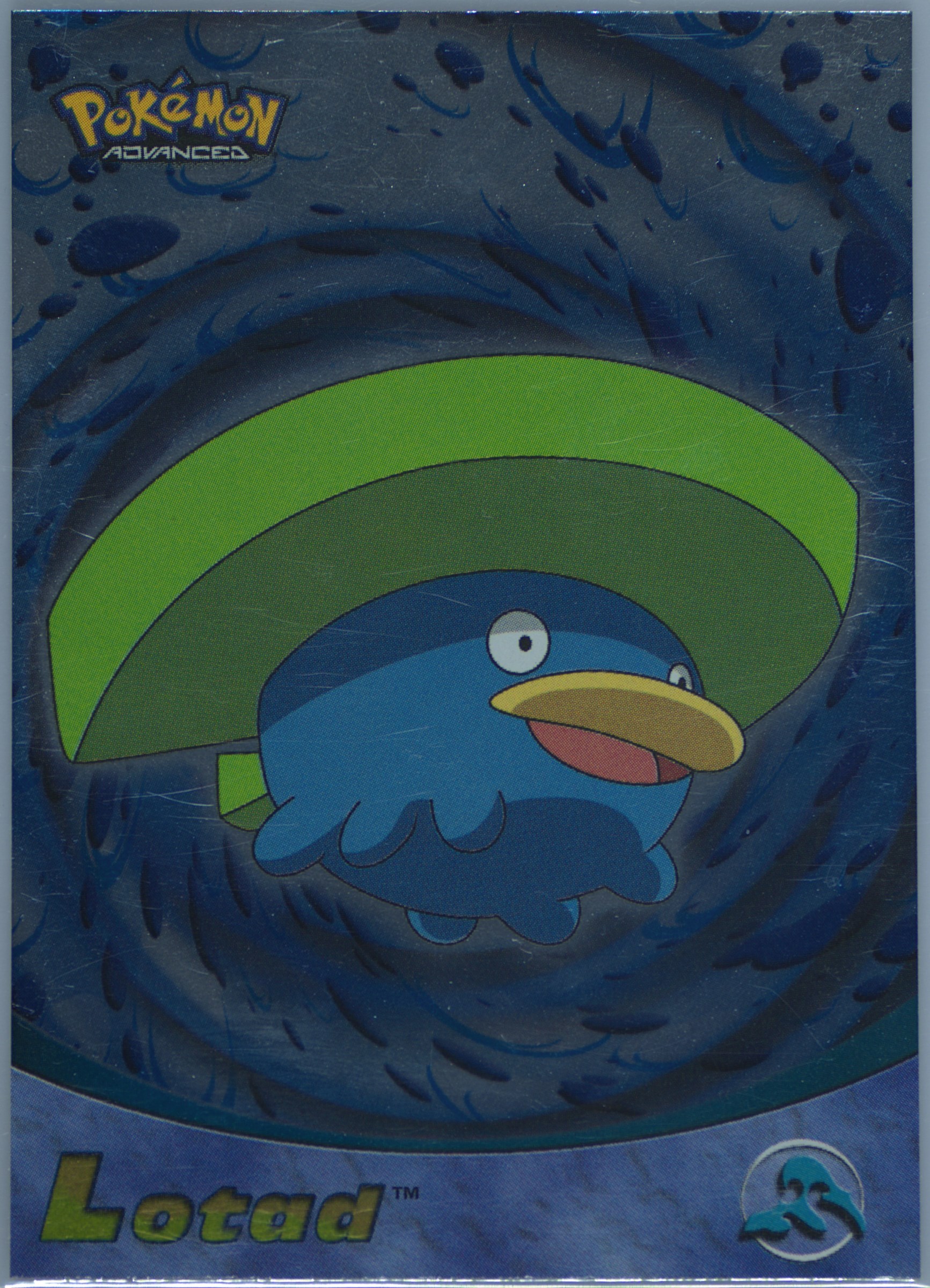 Lotad