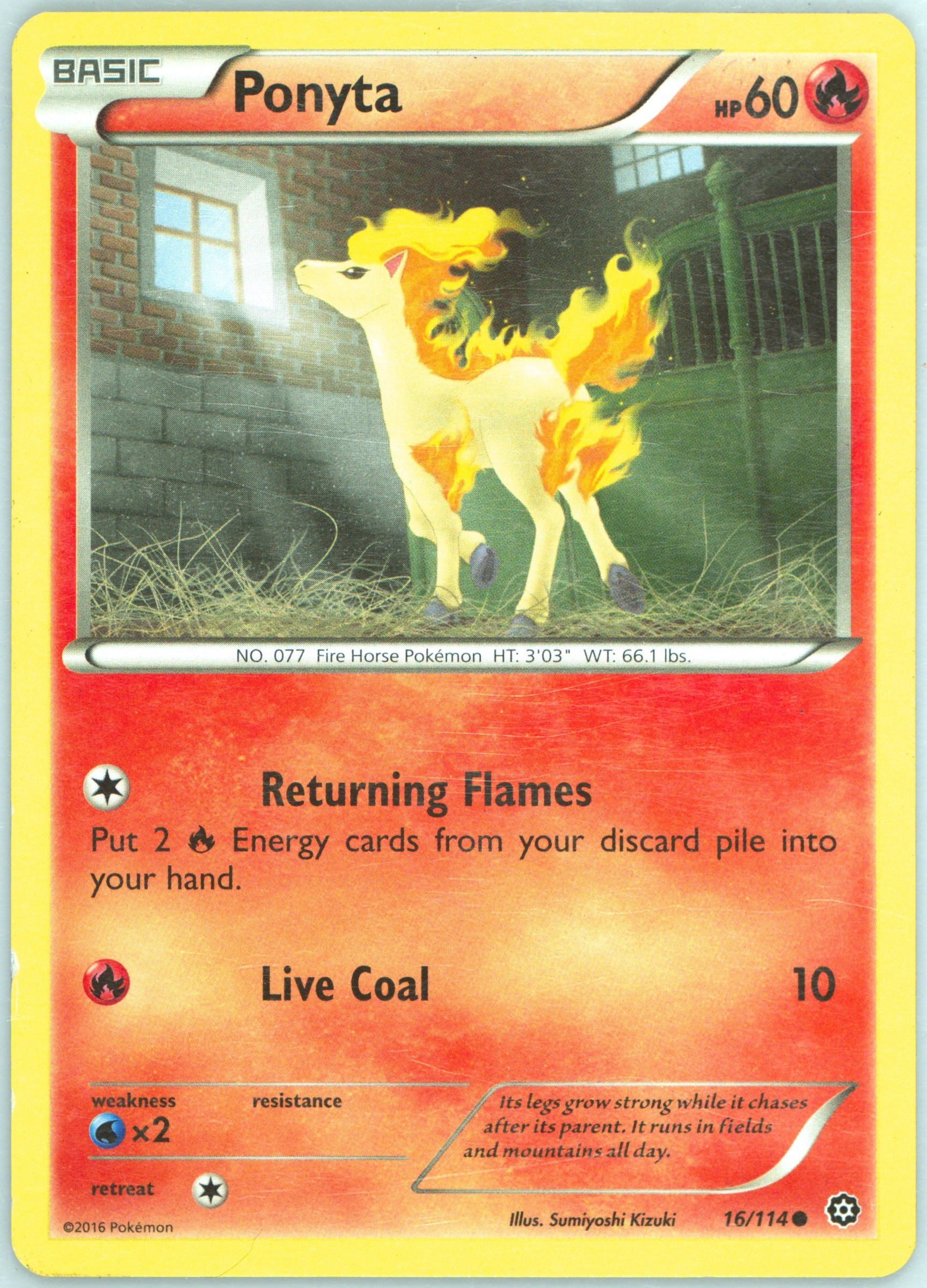 Ponyta