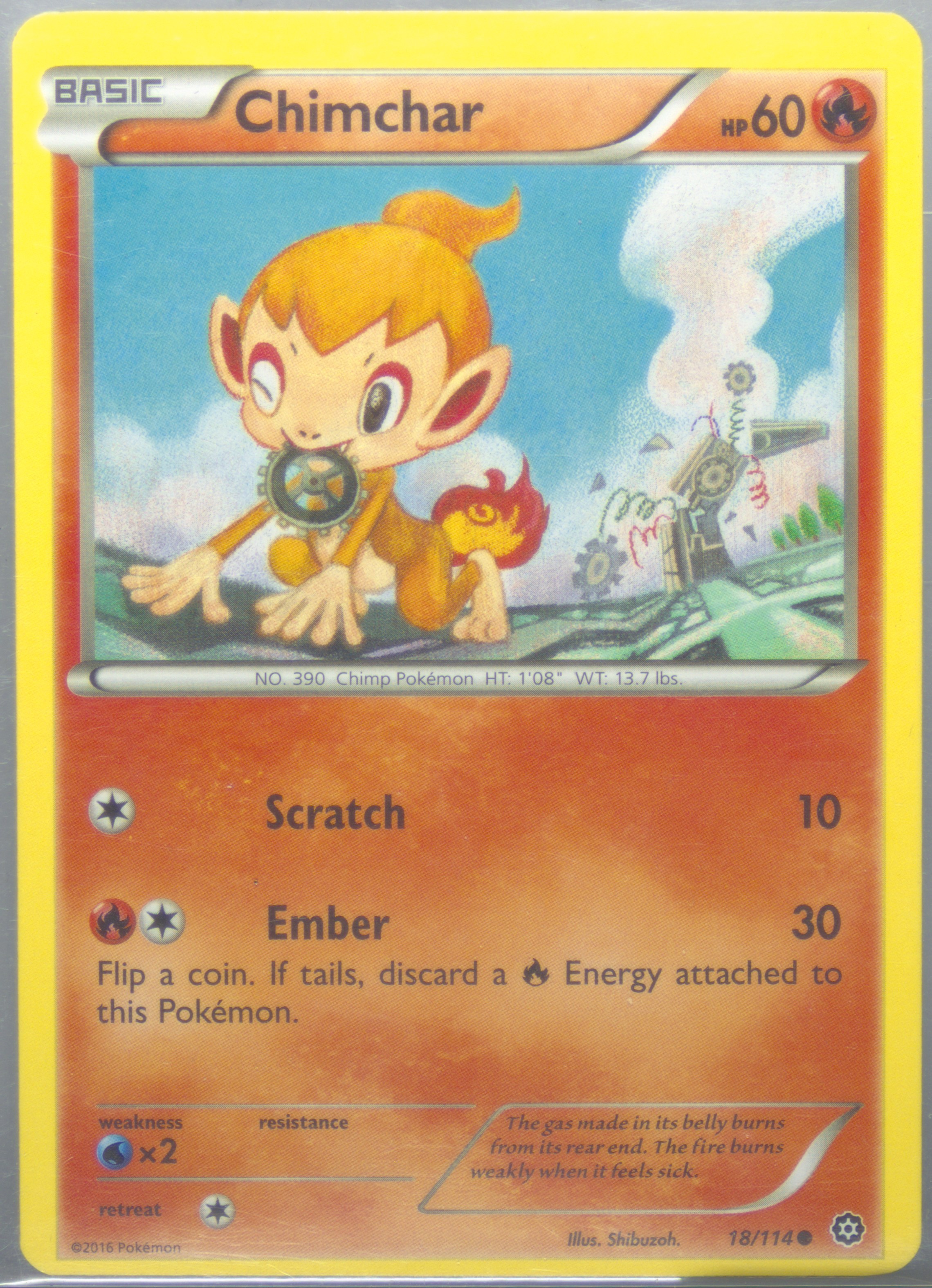 Chimchar