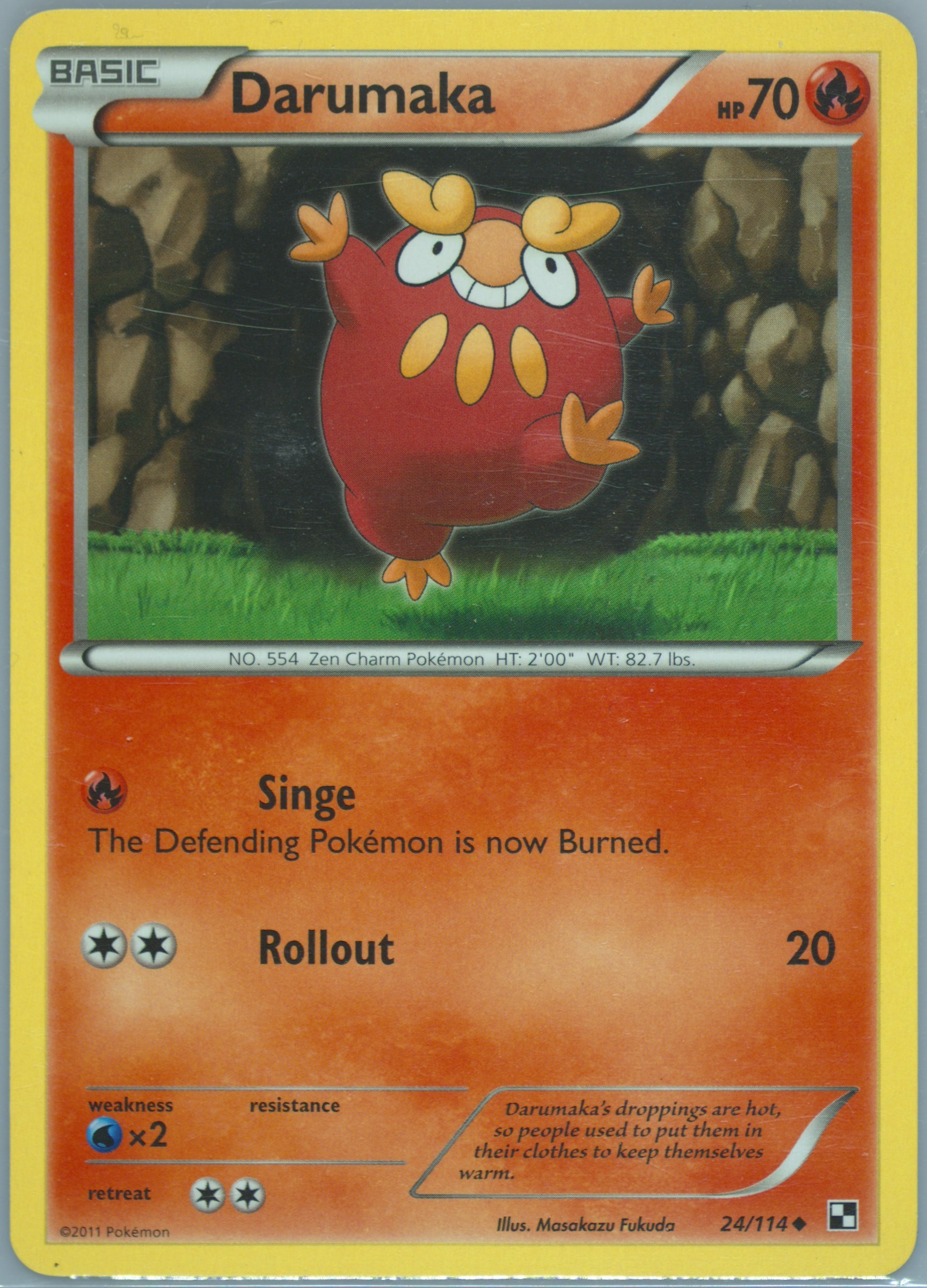 Darumaka