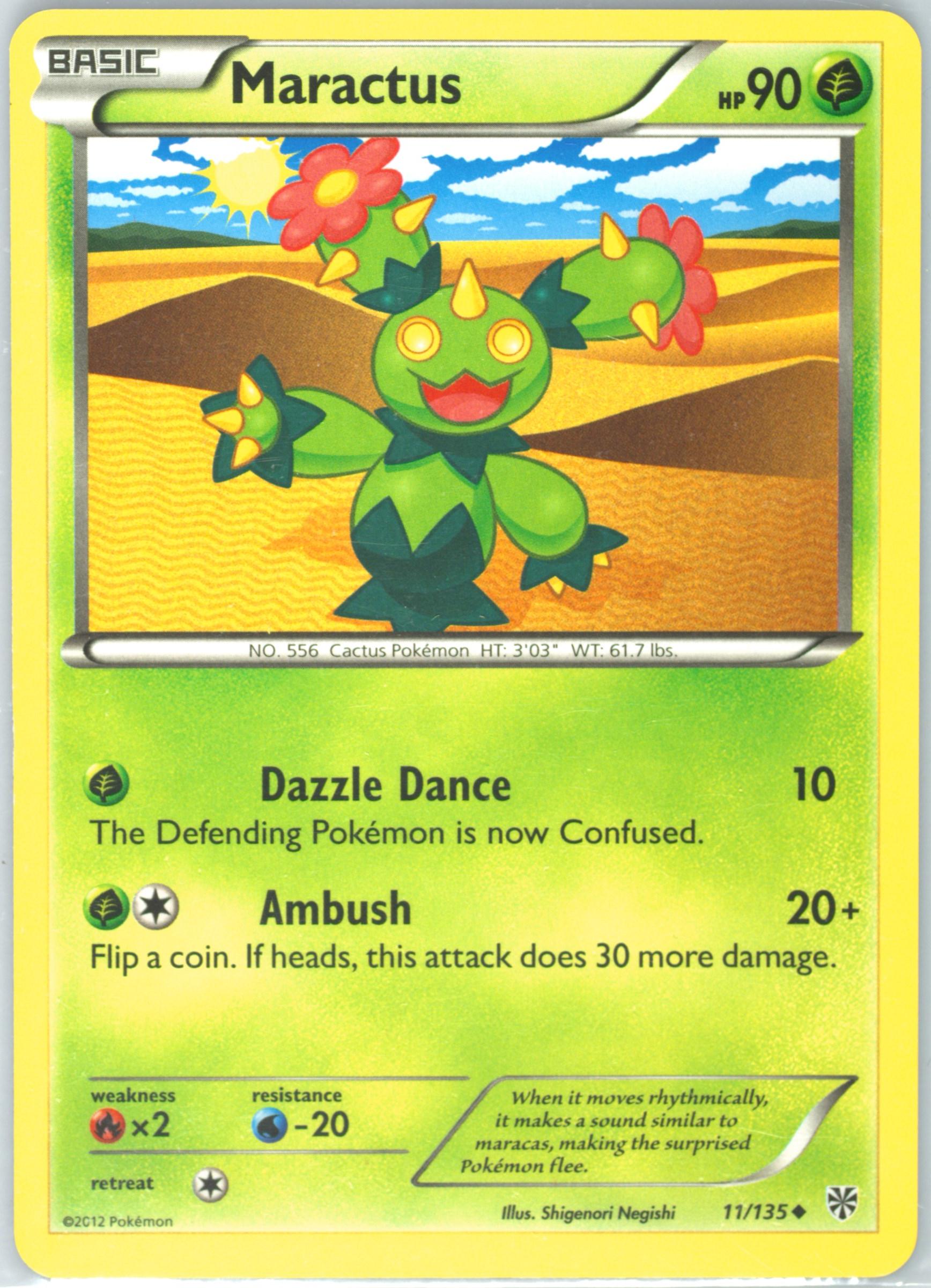 Maractus