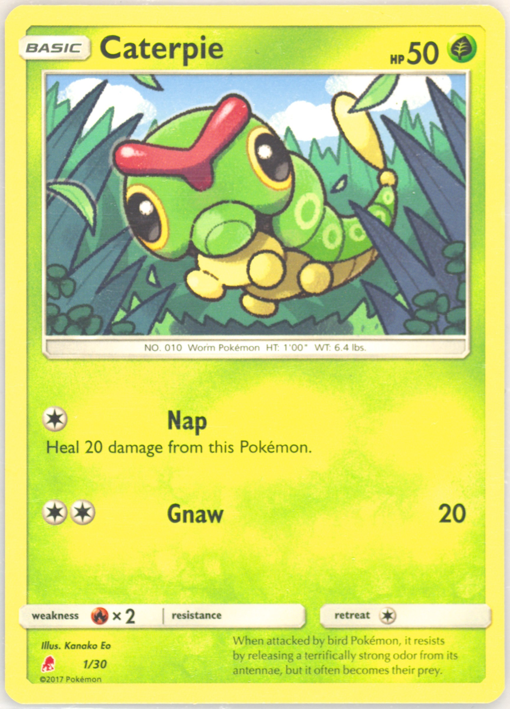 Caterpie