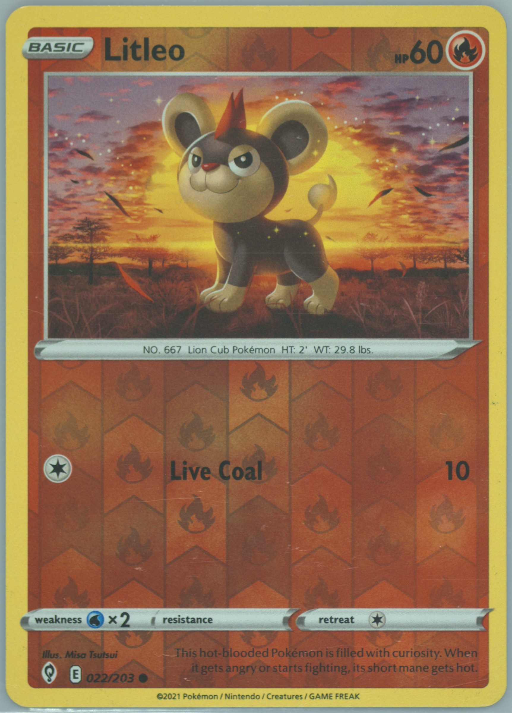 Litleo-Reverse Foil