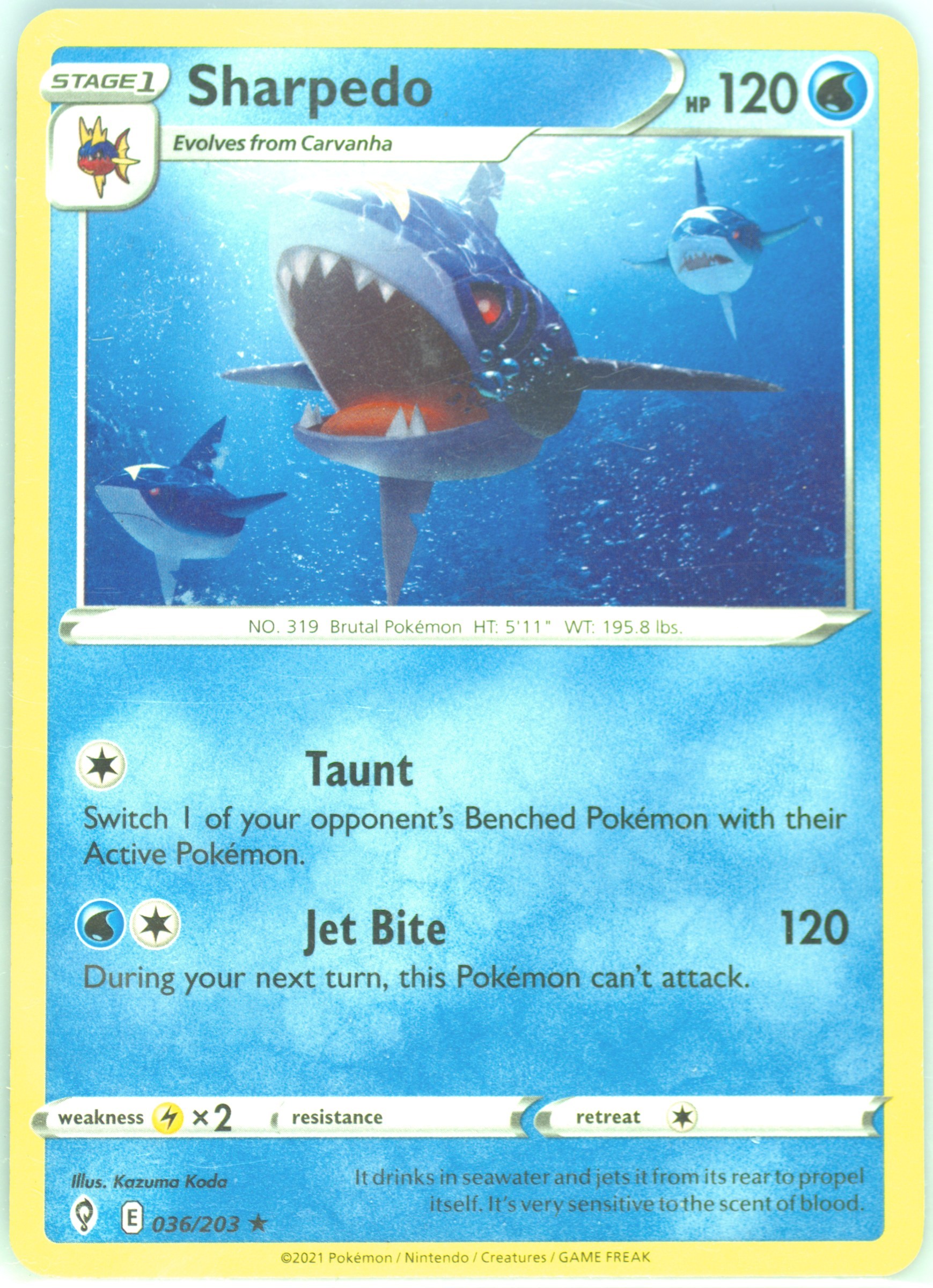 Sharpedo