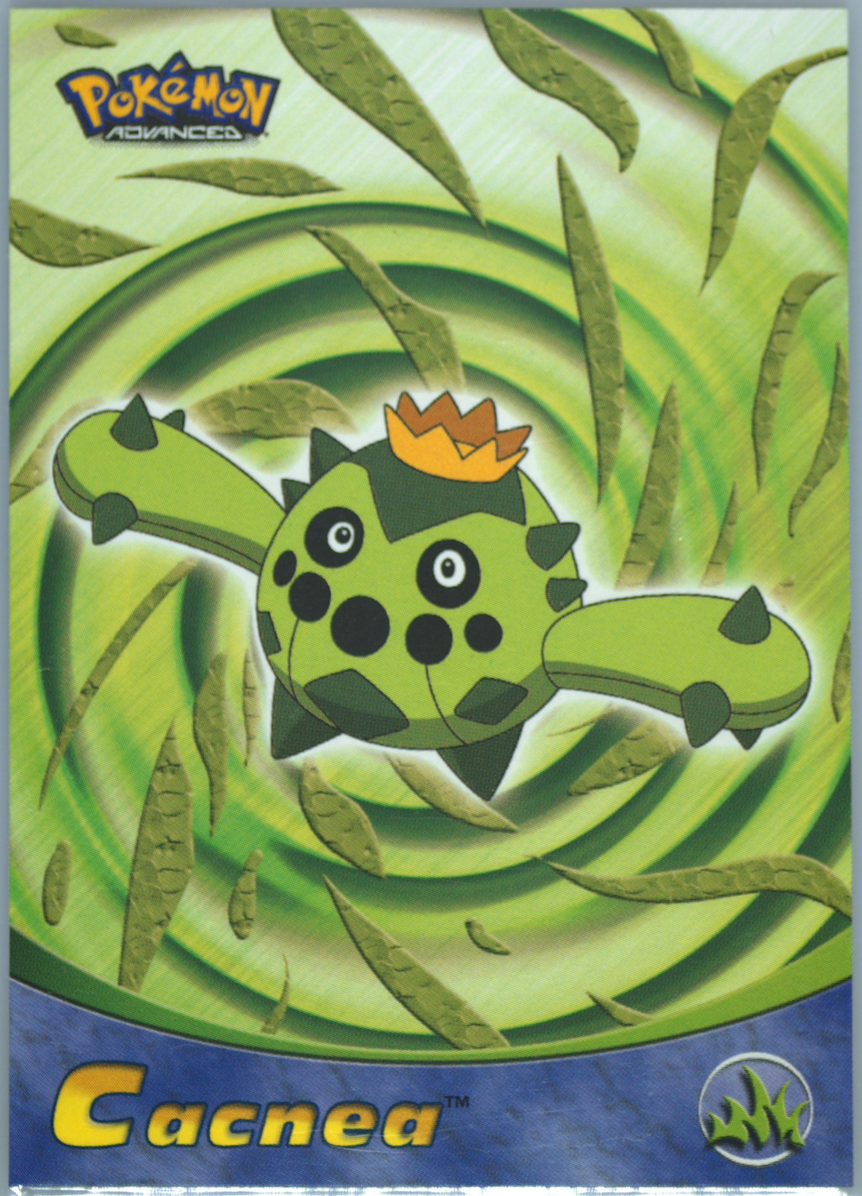 Cacnea