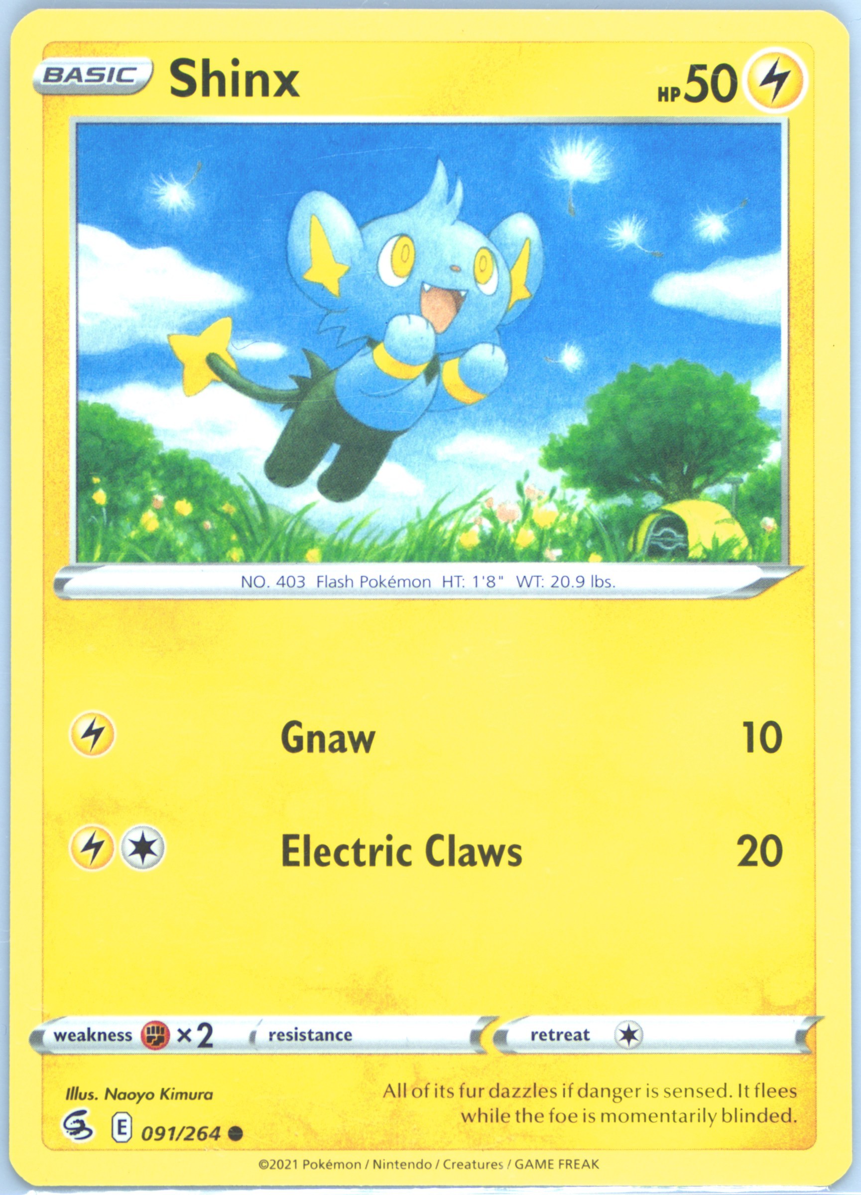 Shinx
