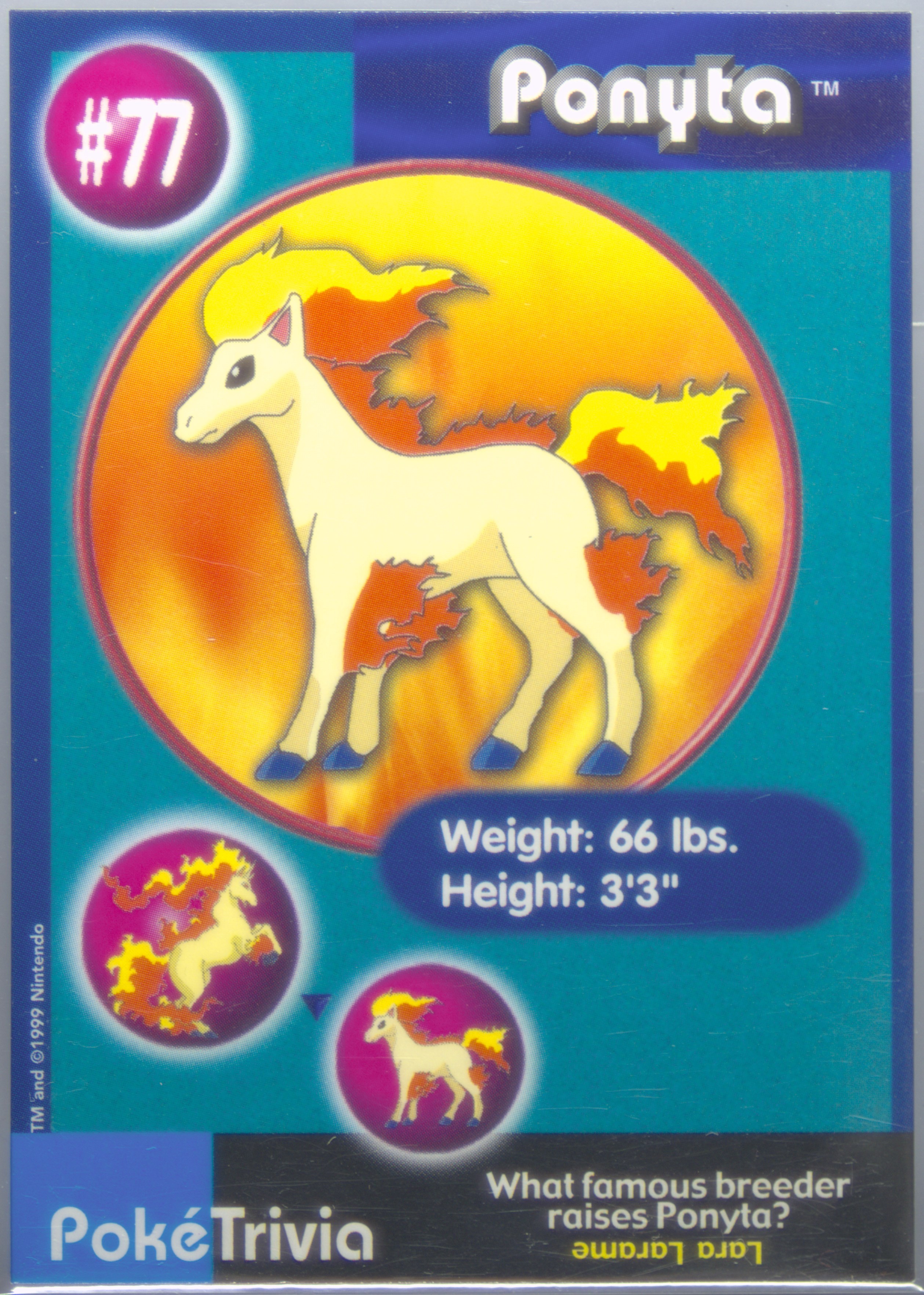 Ponyta
