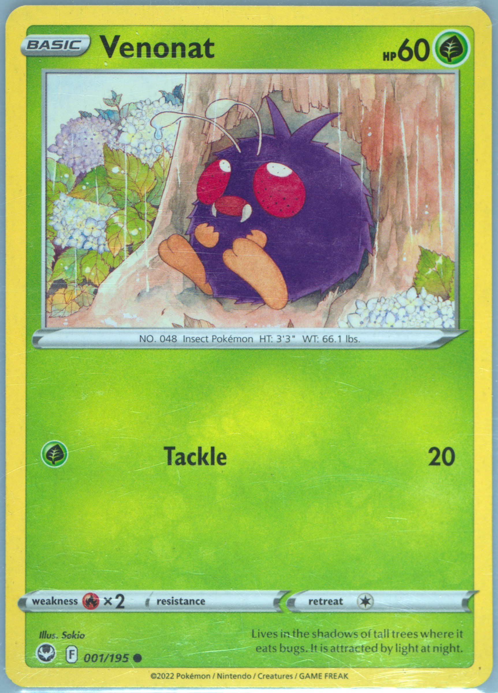 Venonat