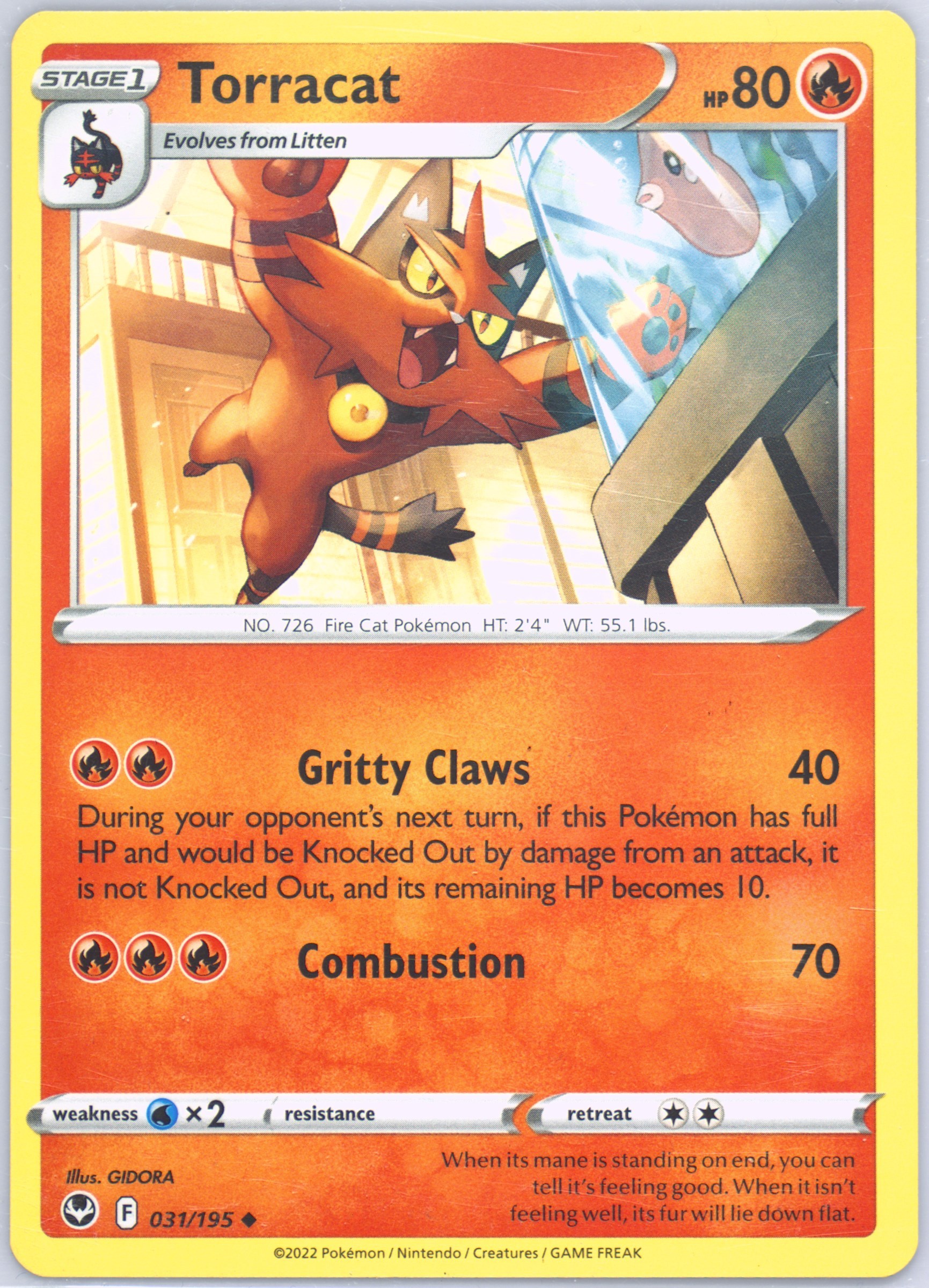 Torracat