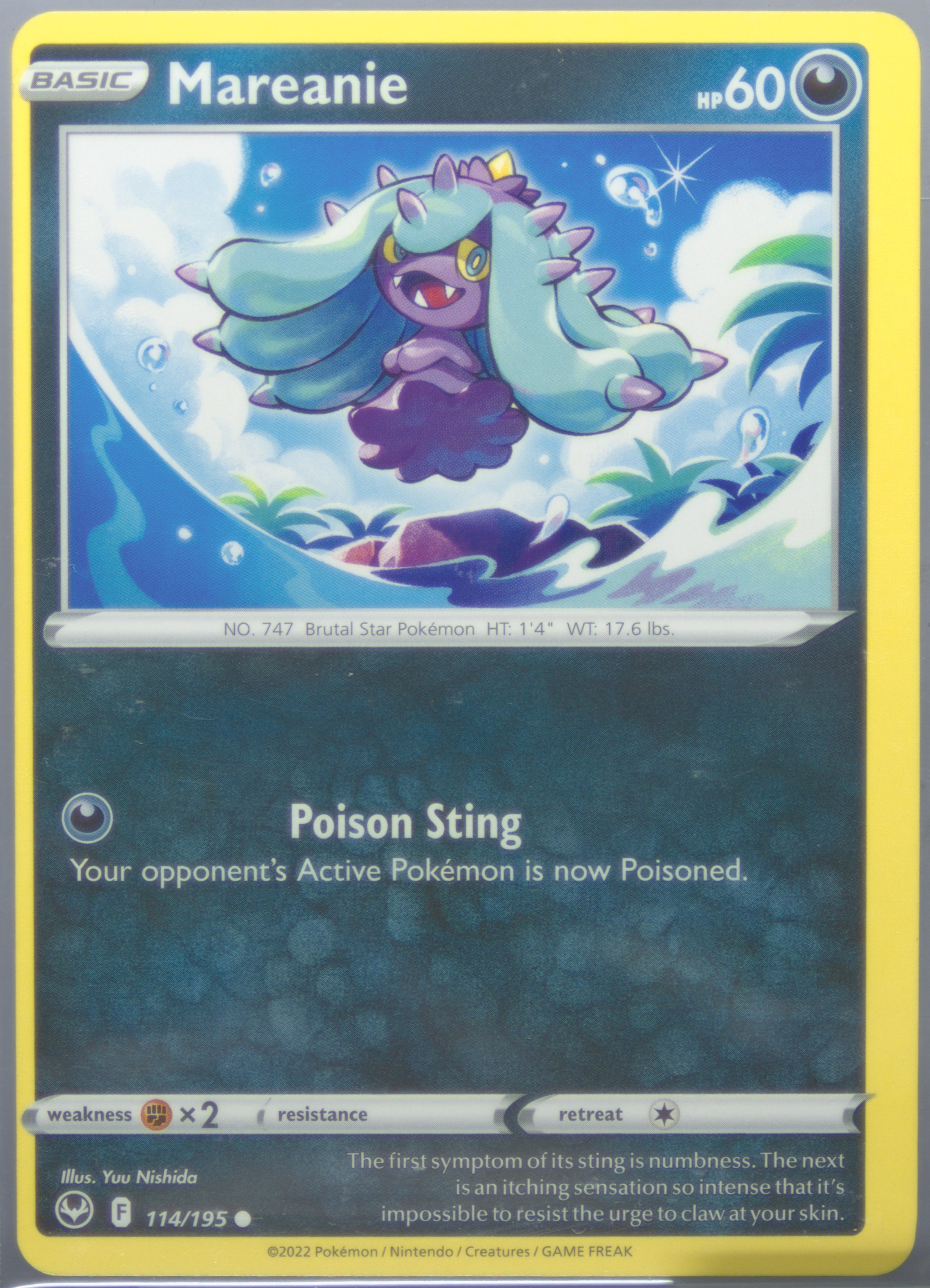 Mareanie