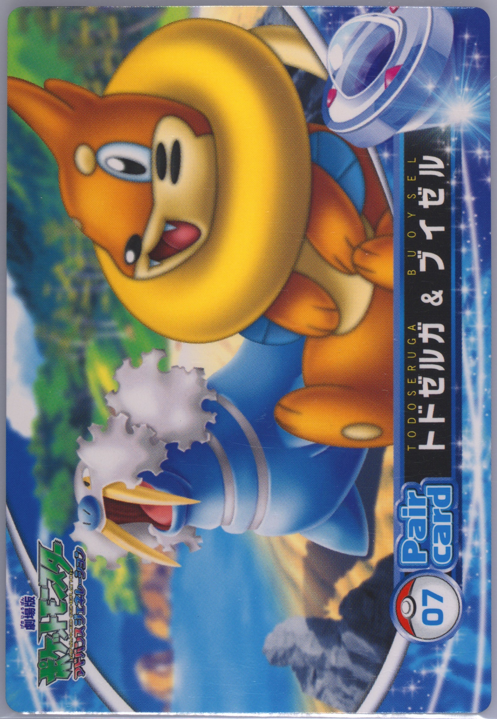 Walrein & Buizel