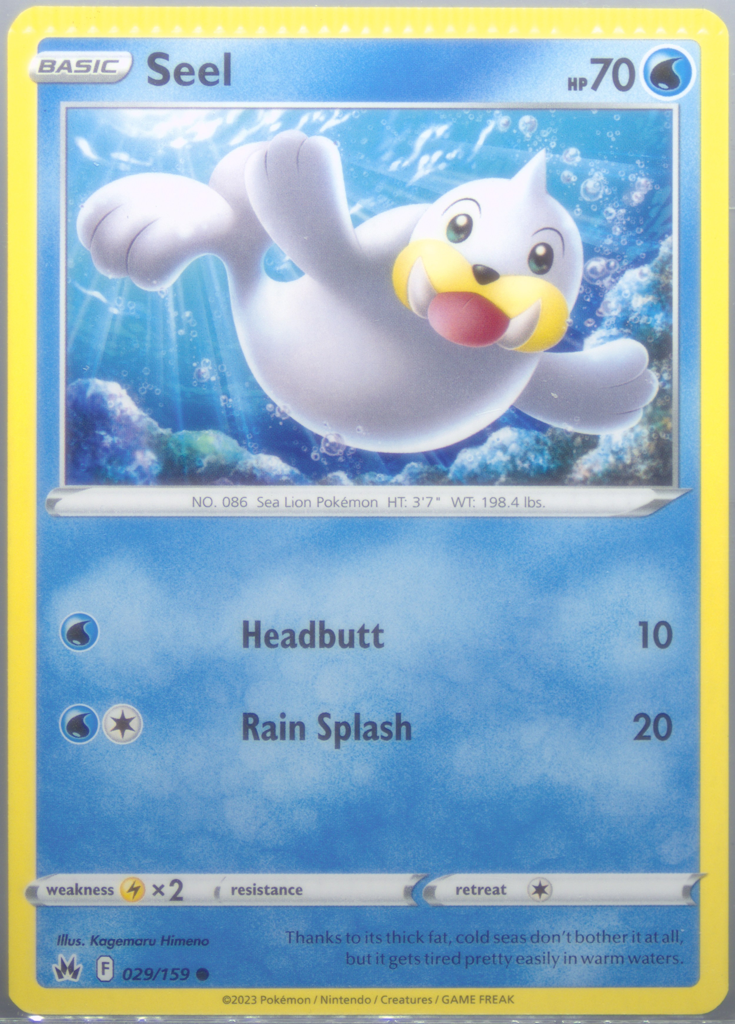 Seel
