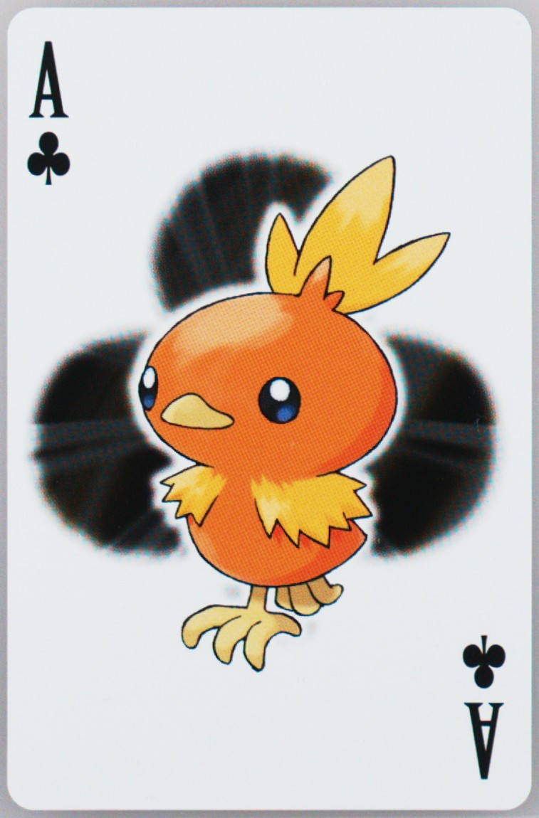 Torchic