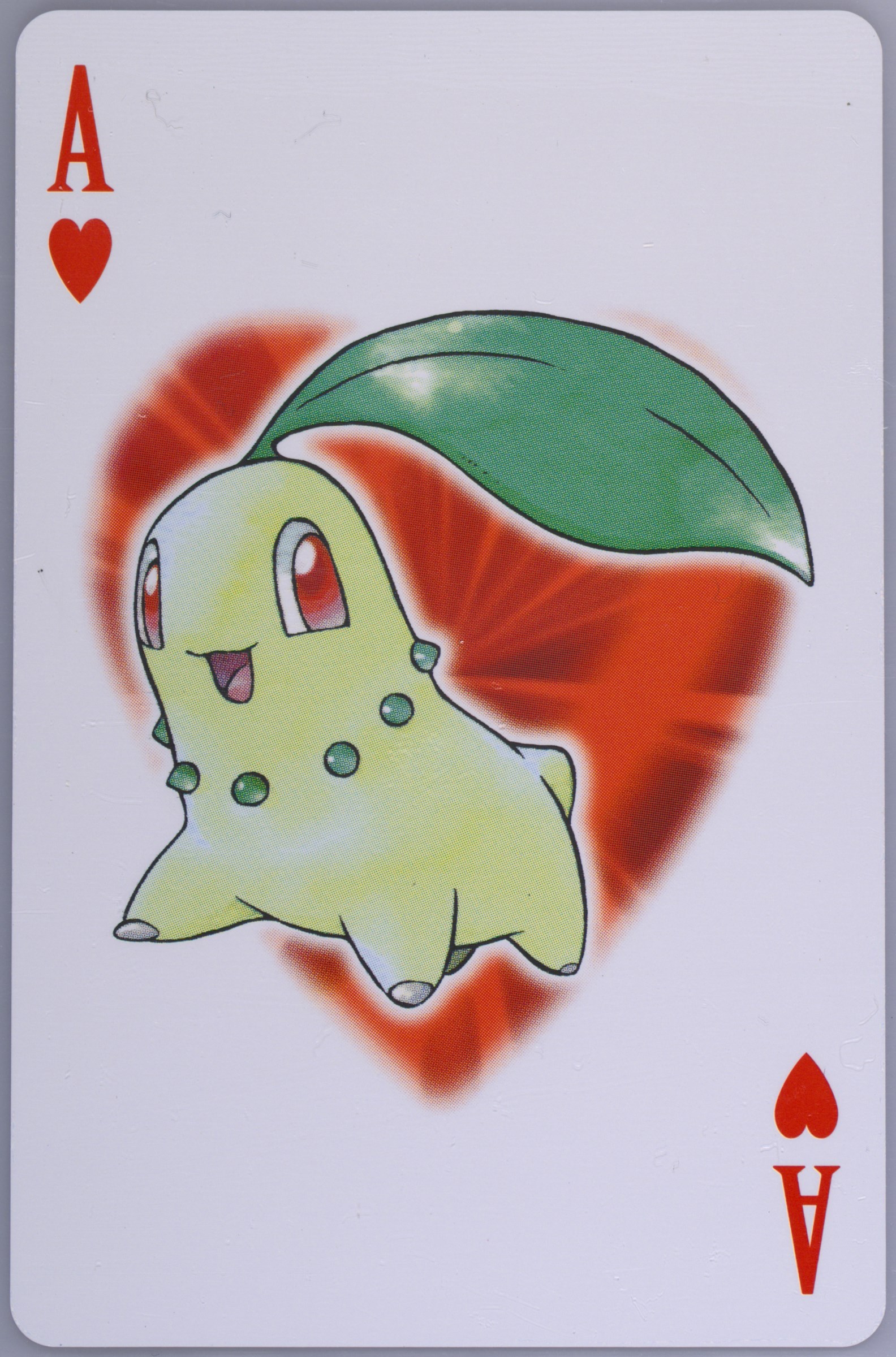 Chikorita