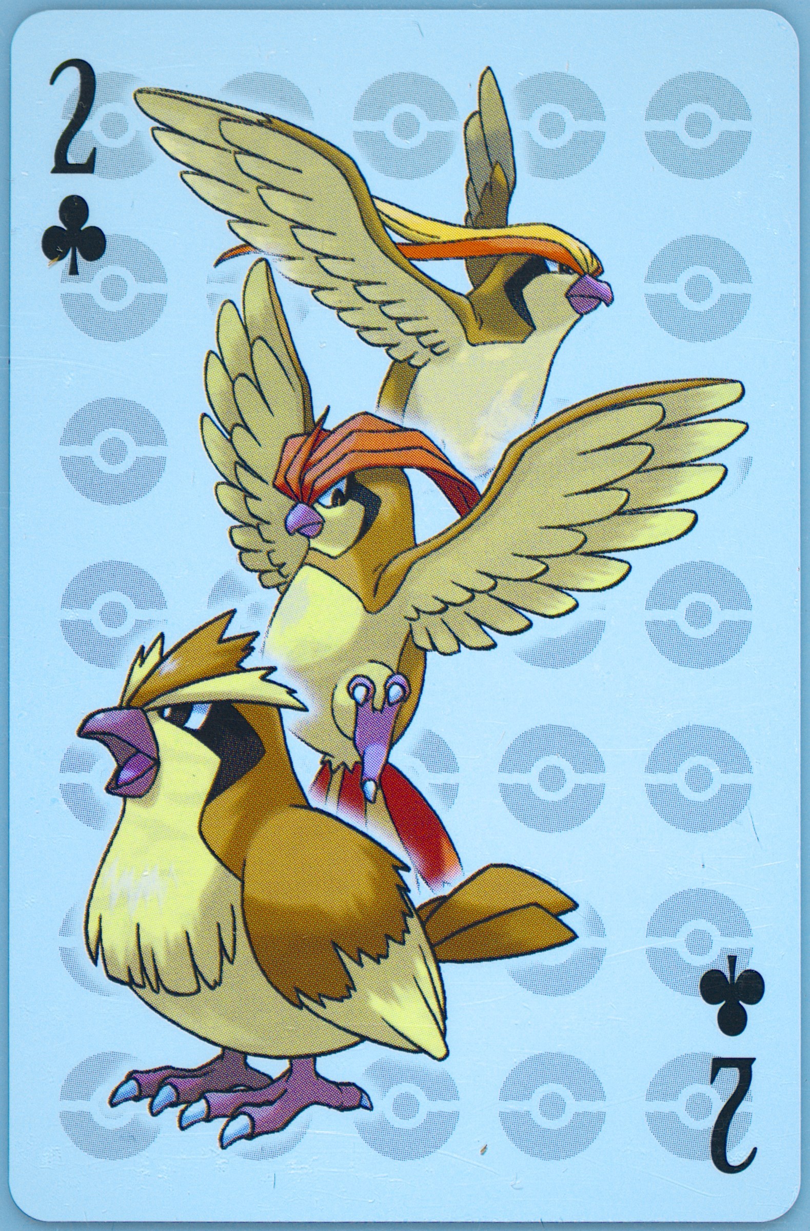 Pidgeot/Pidgeotto/Pidgey