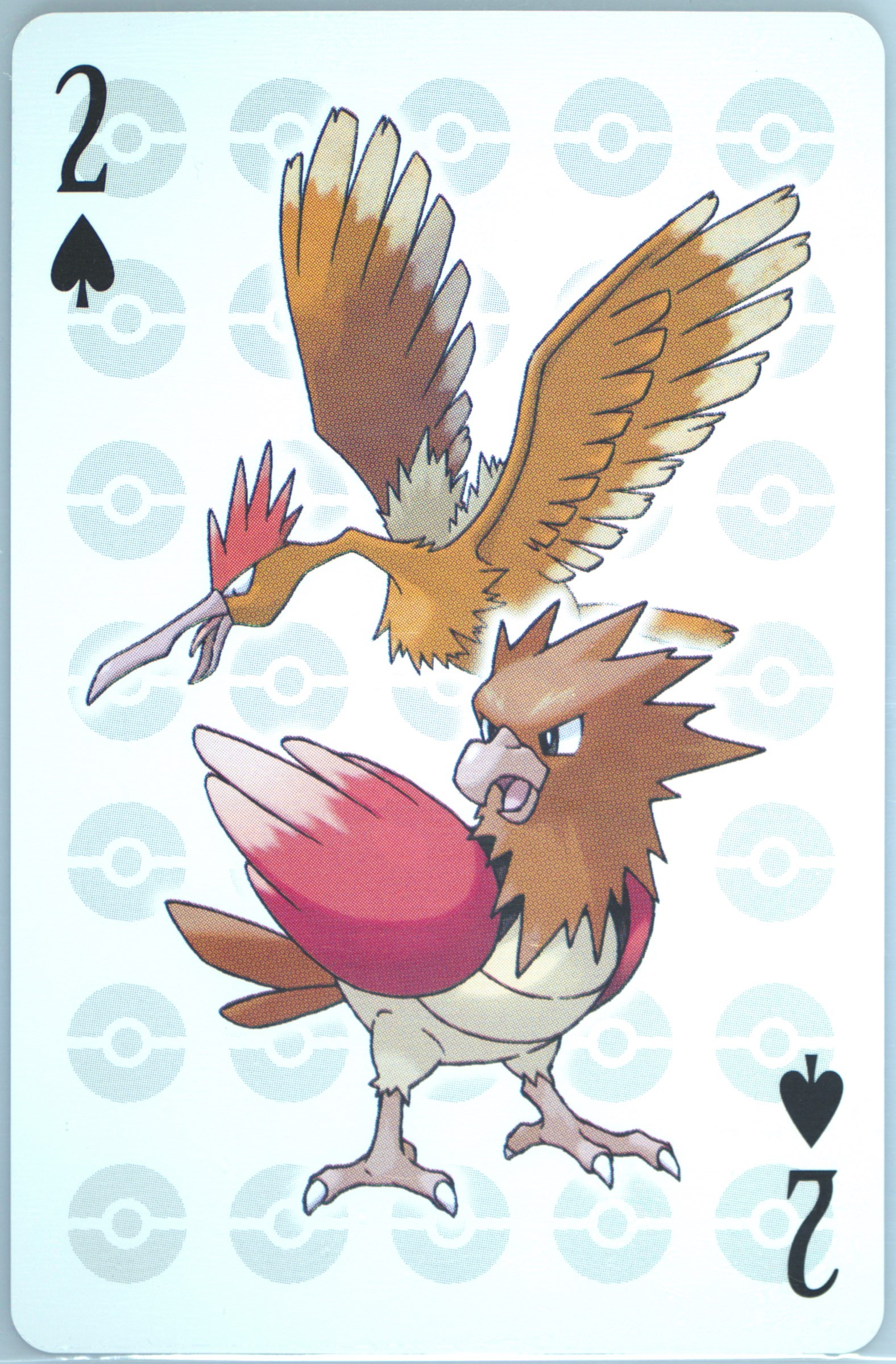 Fearow/Spearow
