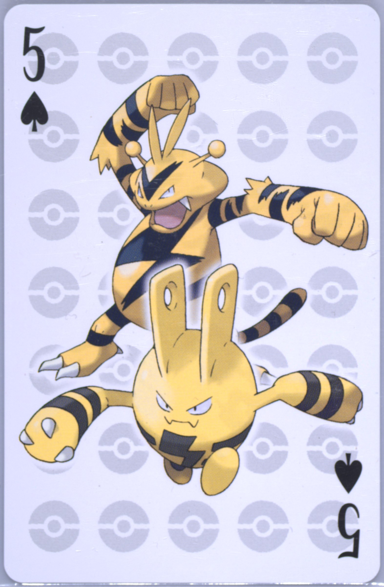 Electabuzz/Elekid