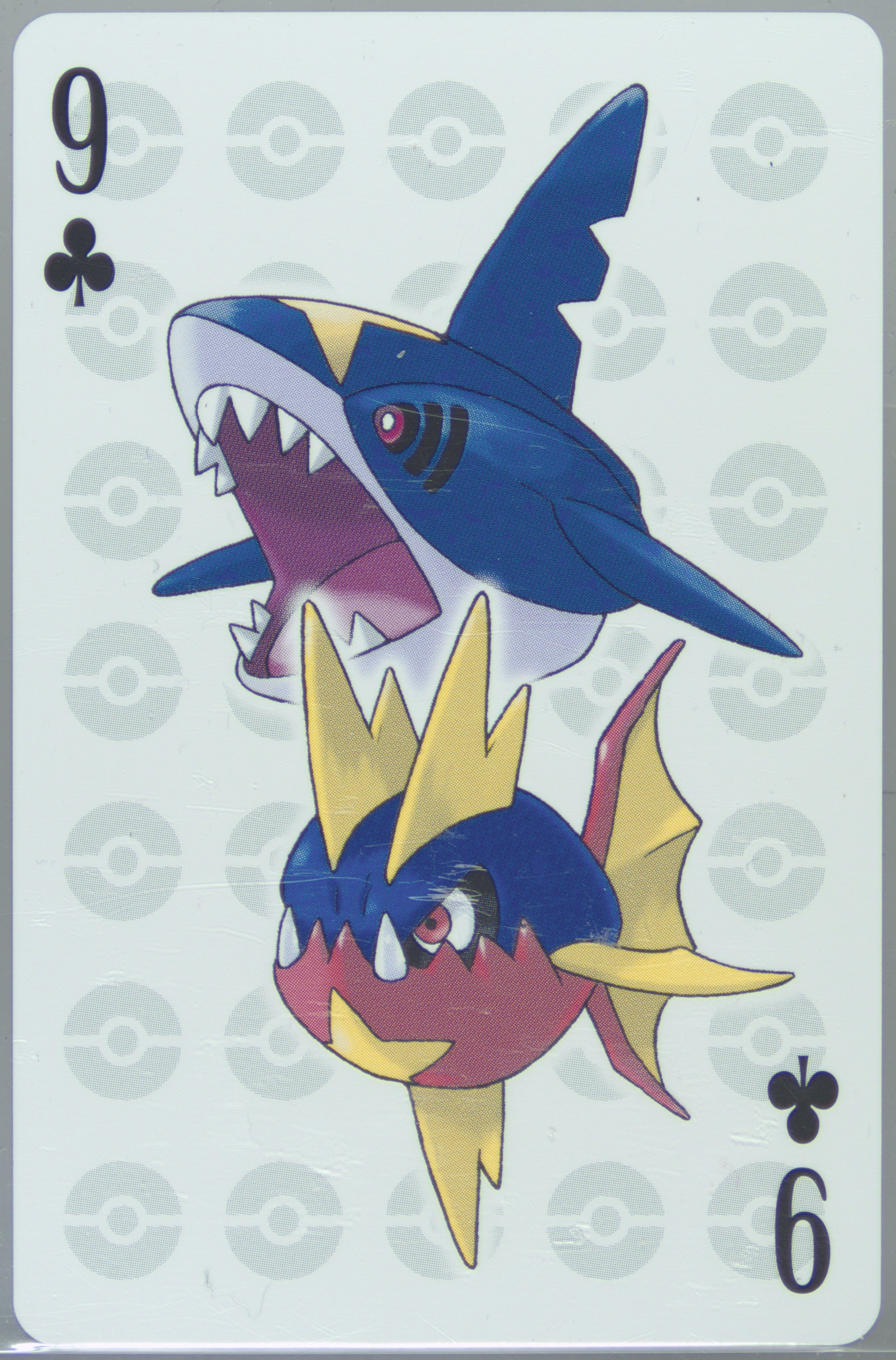 Carvanha/Sharpedo