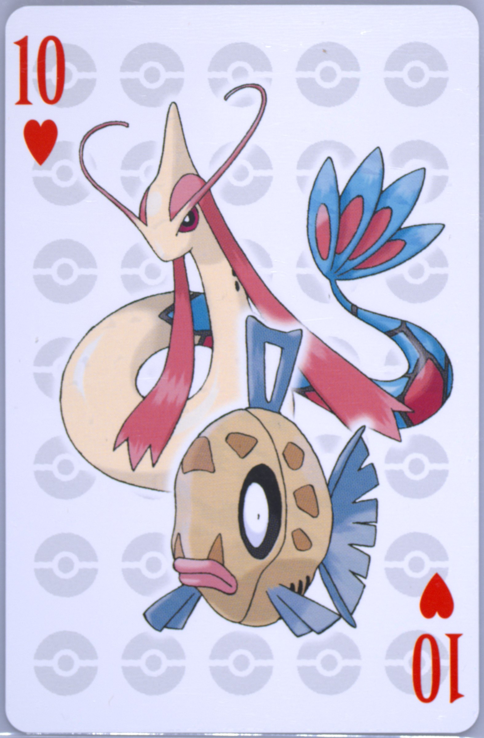 Feebas/Milotic