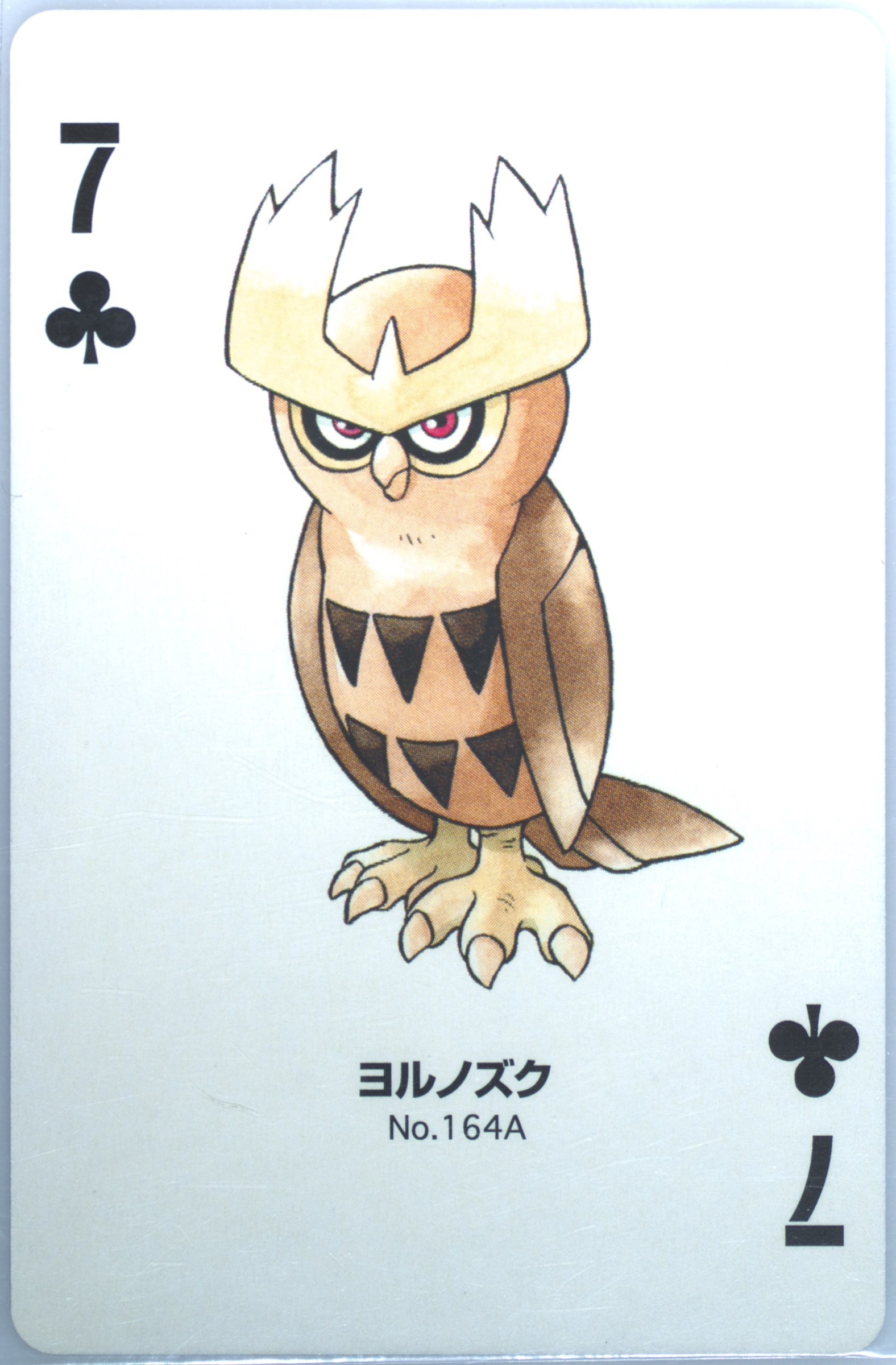 Noctowl