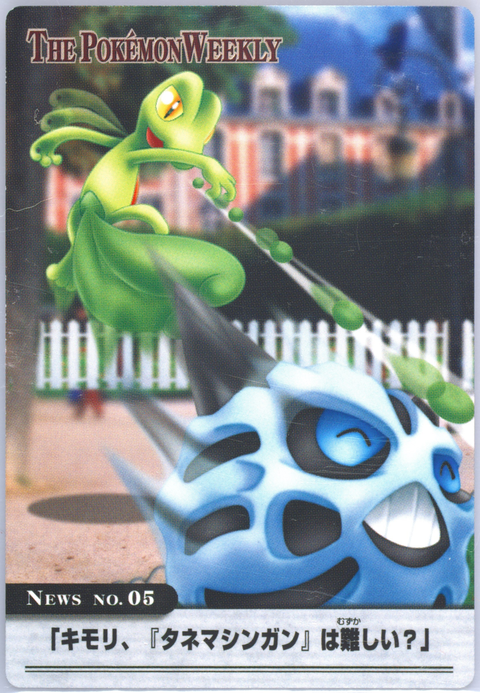 Glalie/Treecko