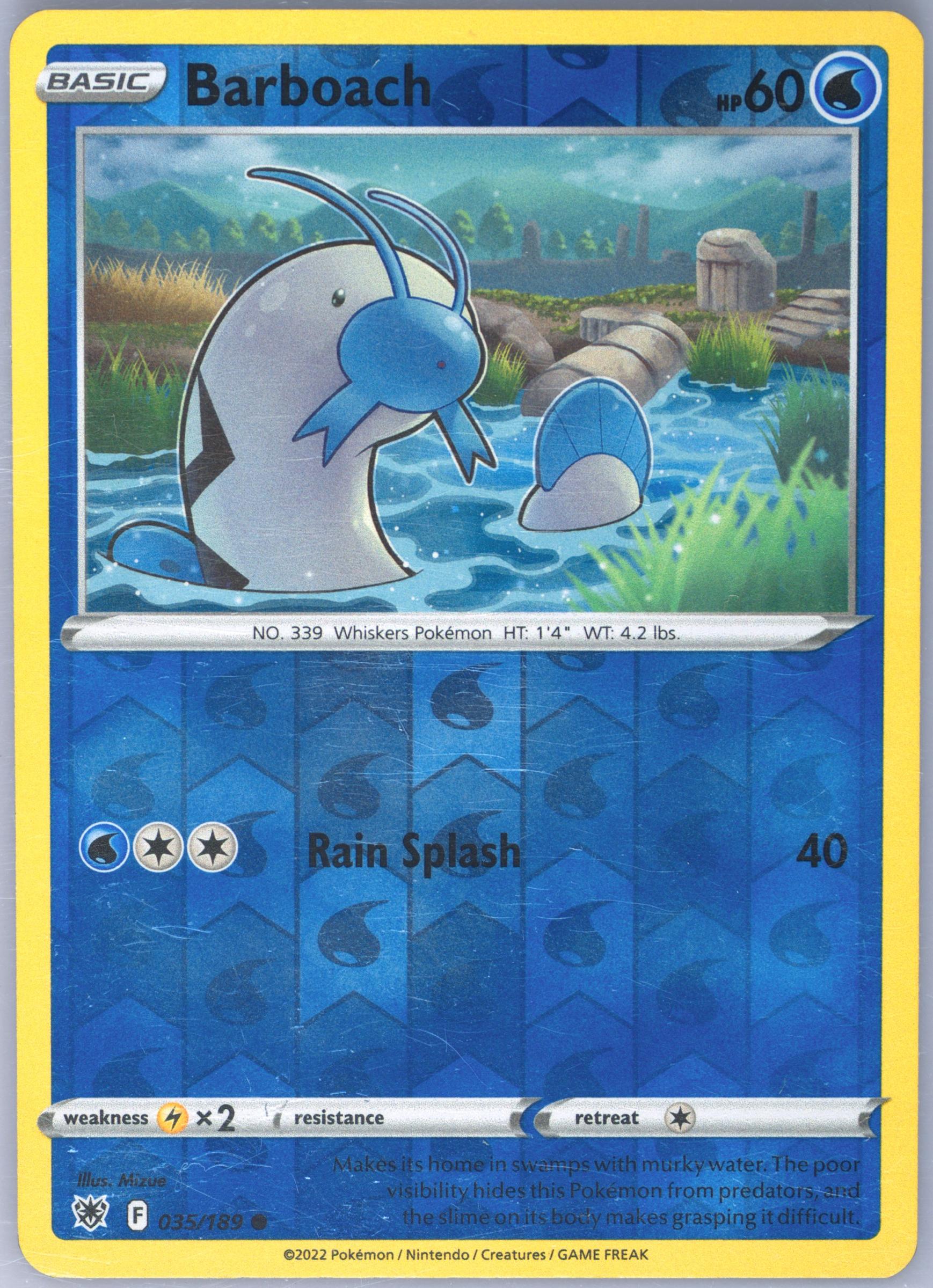 Barboach-Reverse Foil