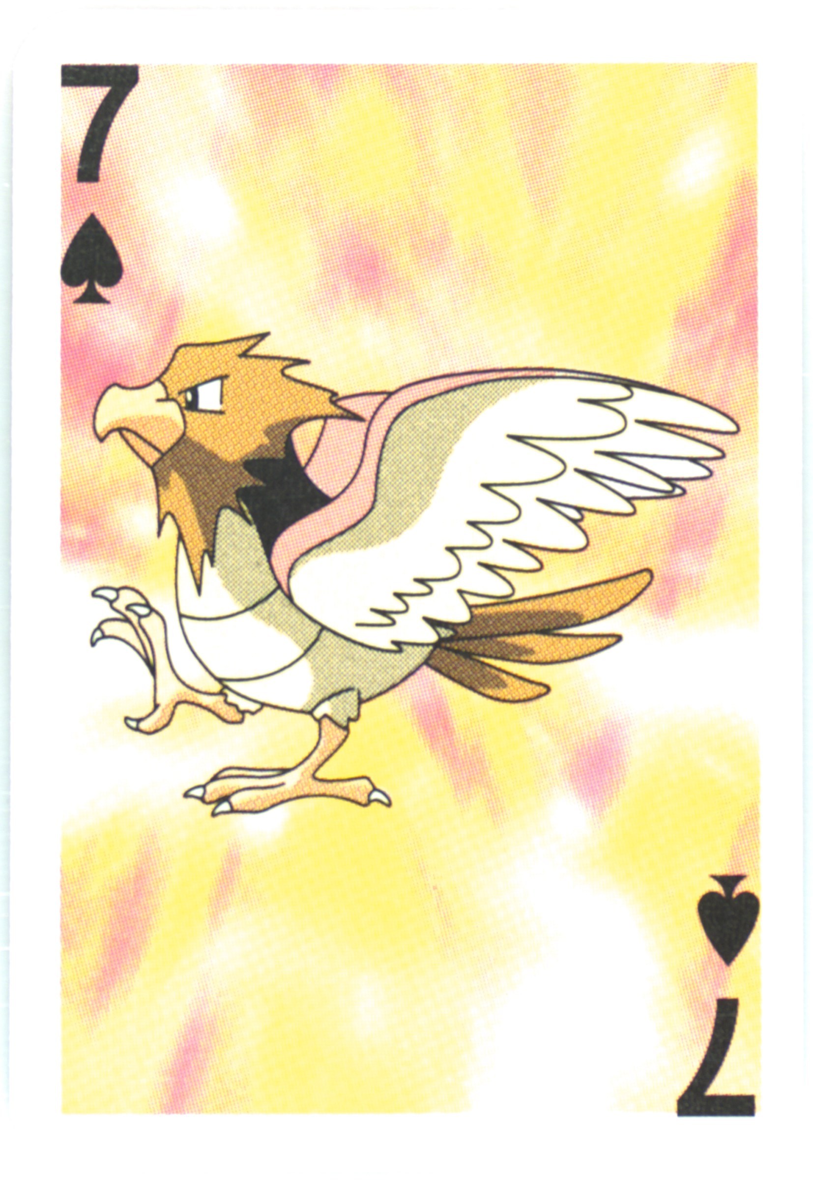 Spearow