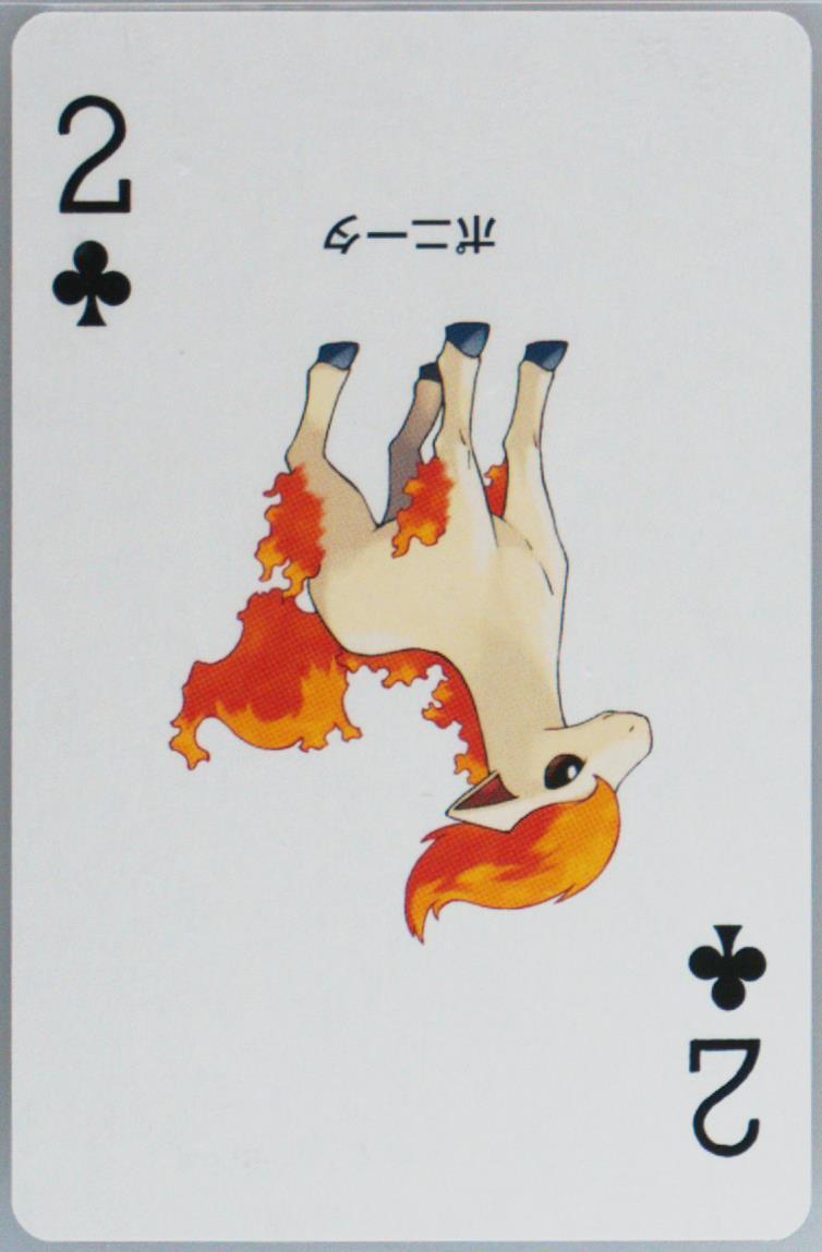 Ponyta