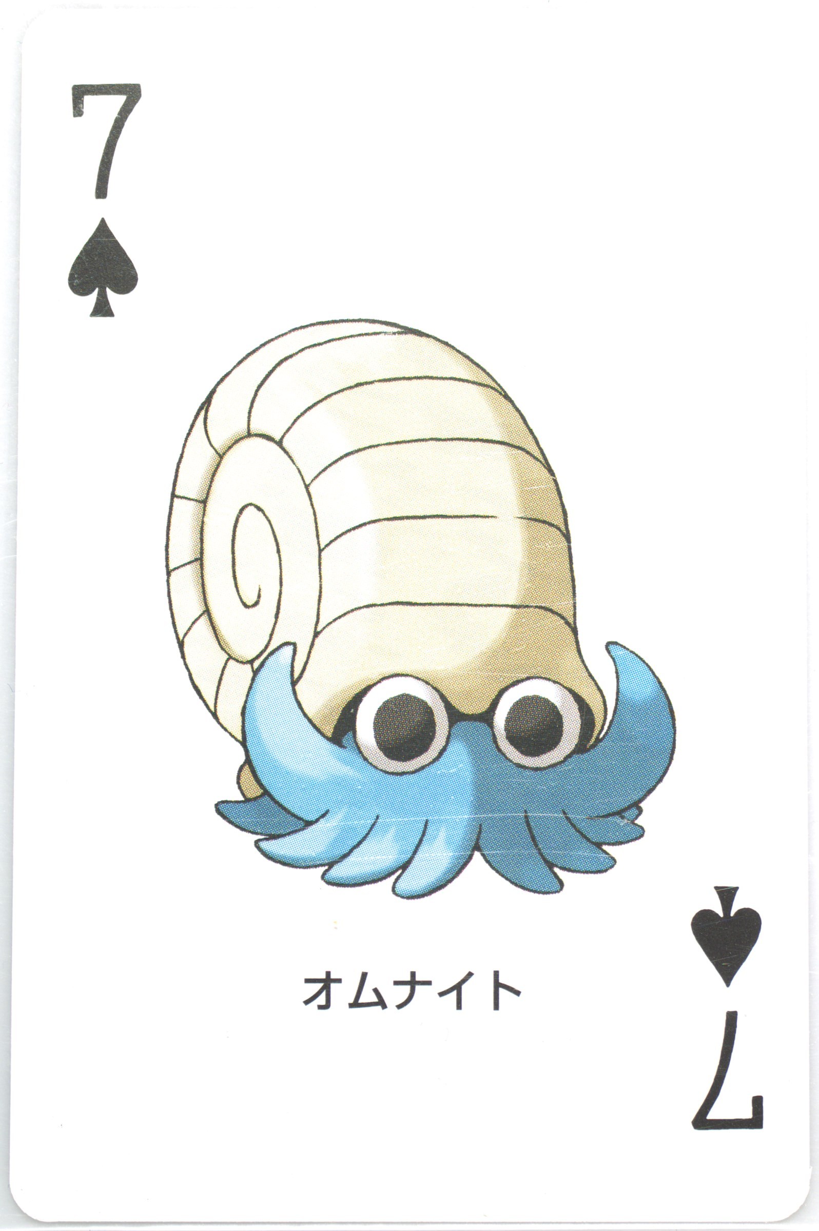 Omanyte