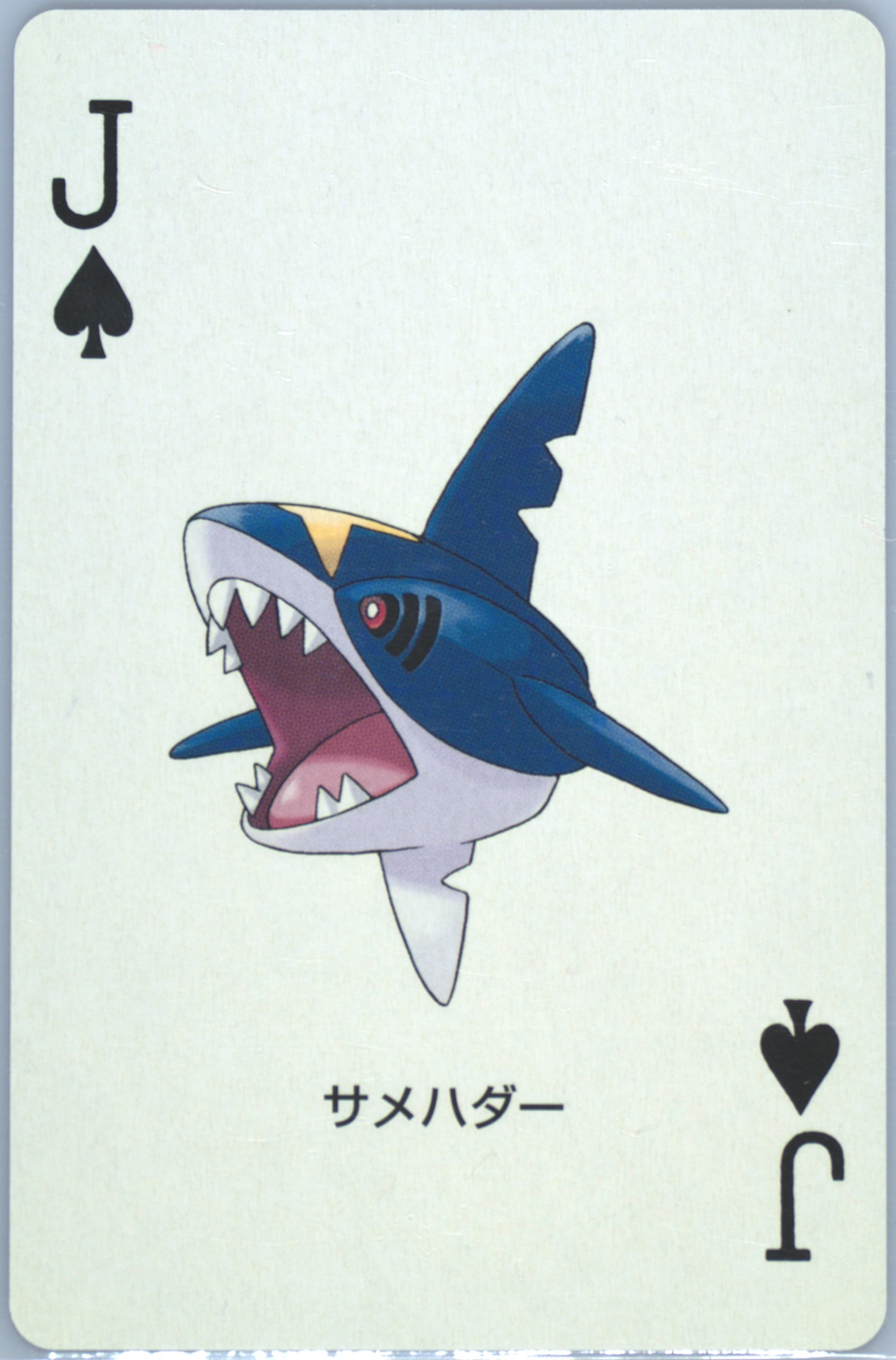 Sharpedo