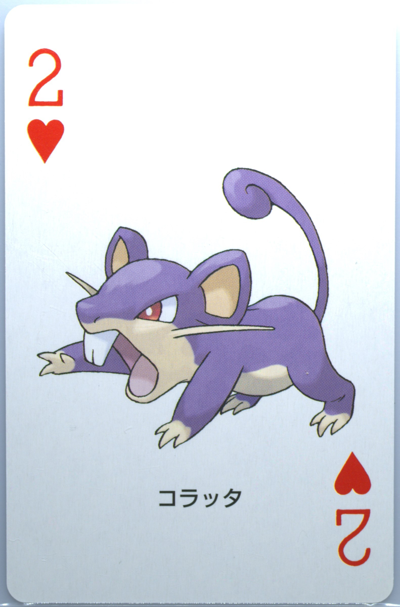 Rattata