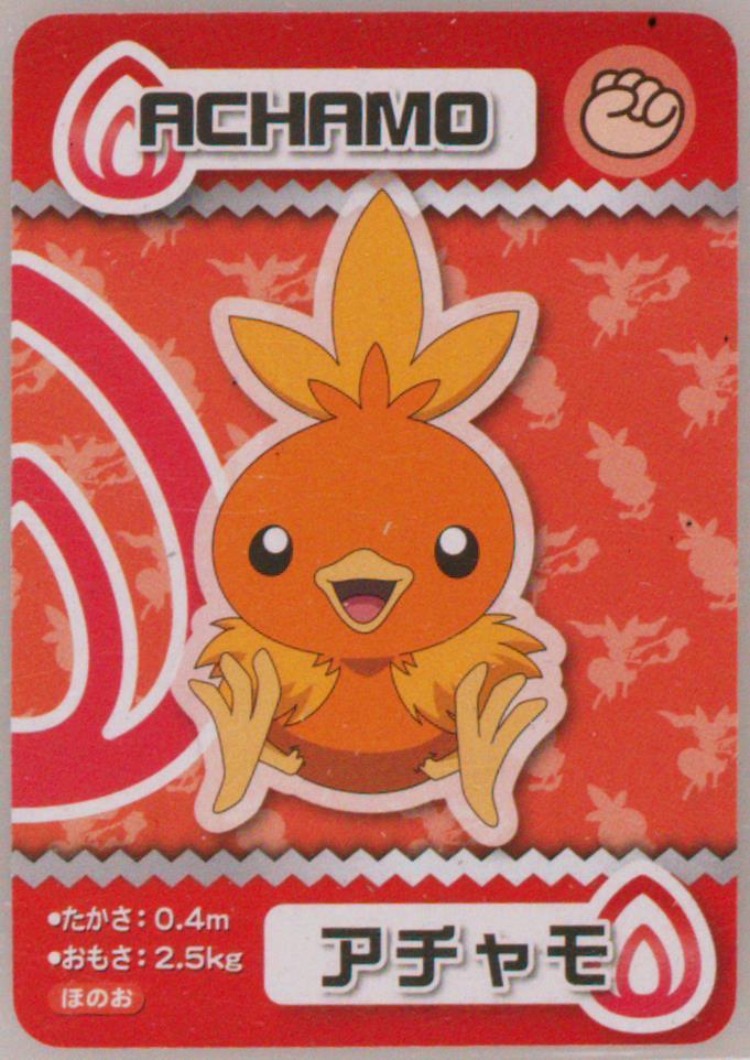Torchic
