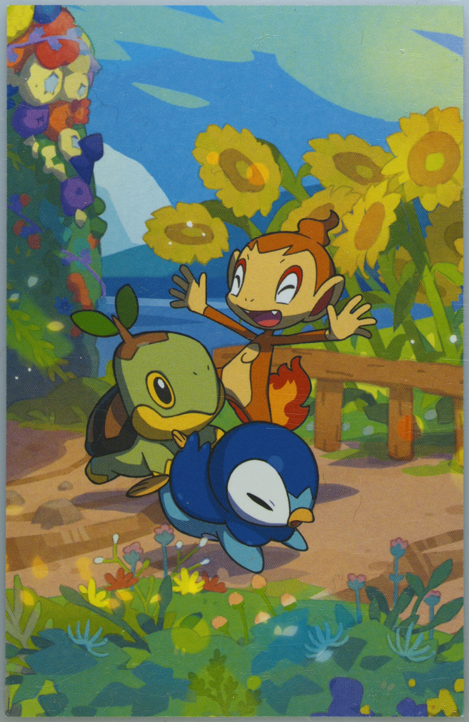 Chimchar/Piplup/Turtwig
