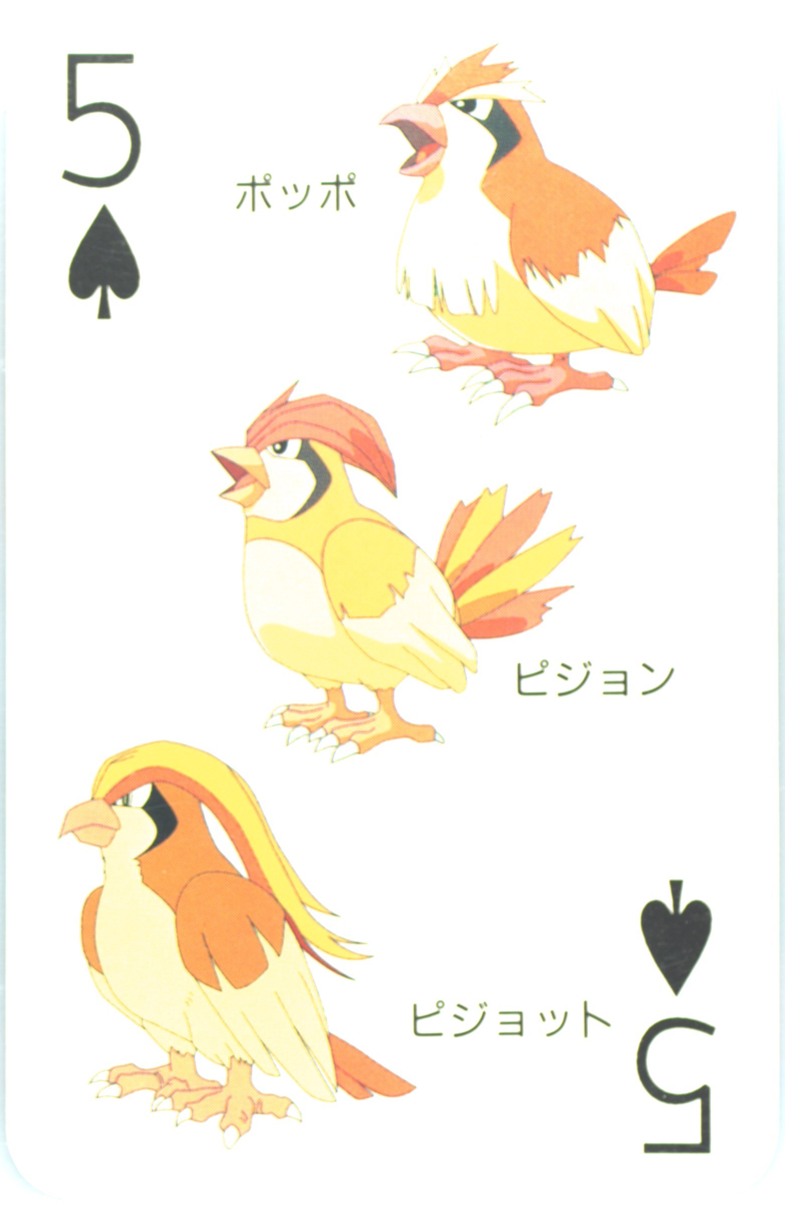 Pidgeot/Pidgeotto/Pidgey