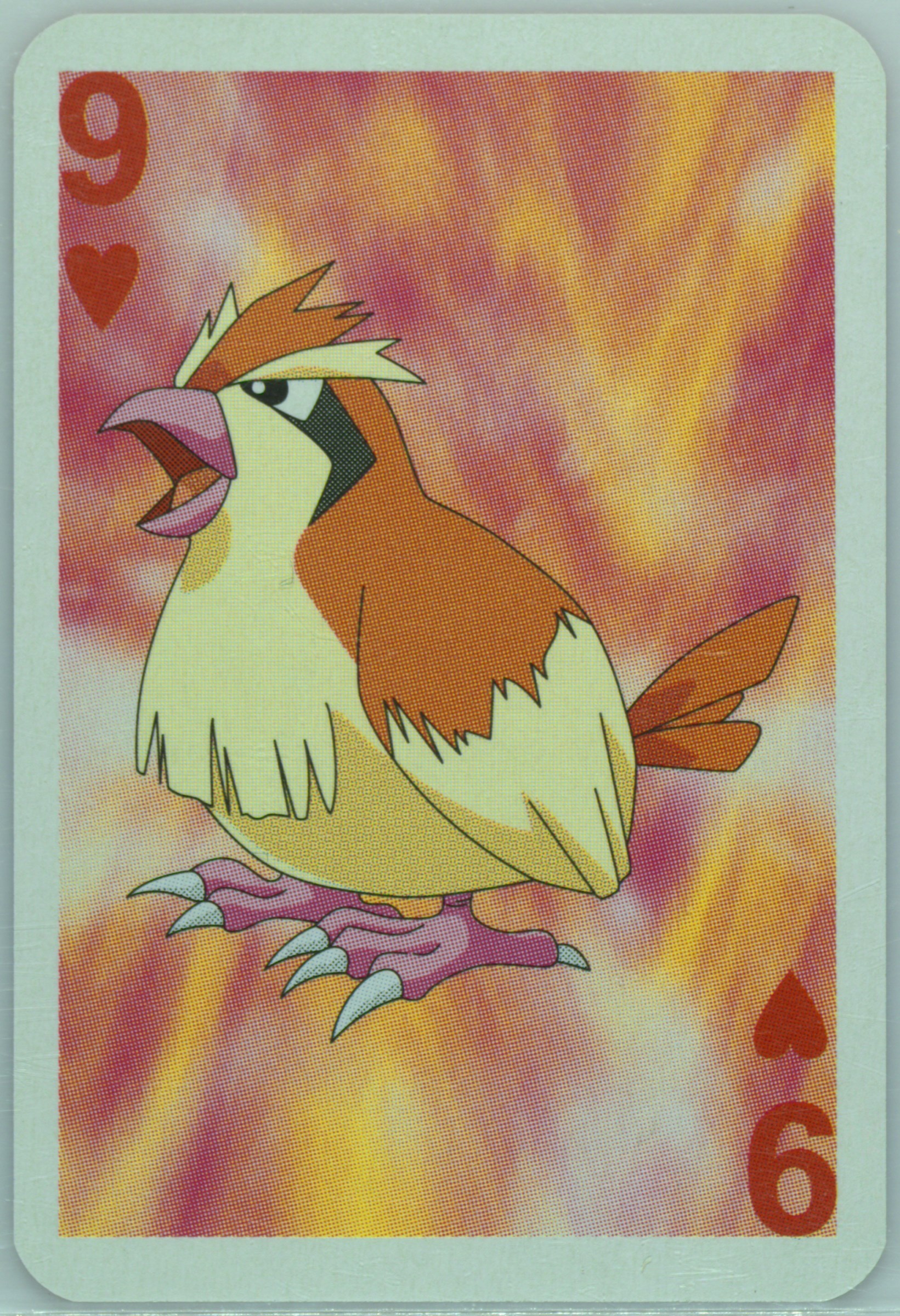 Pidgey