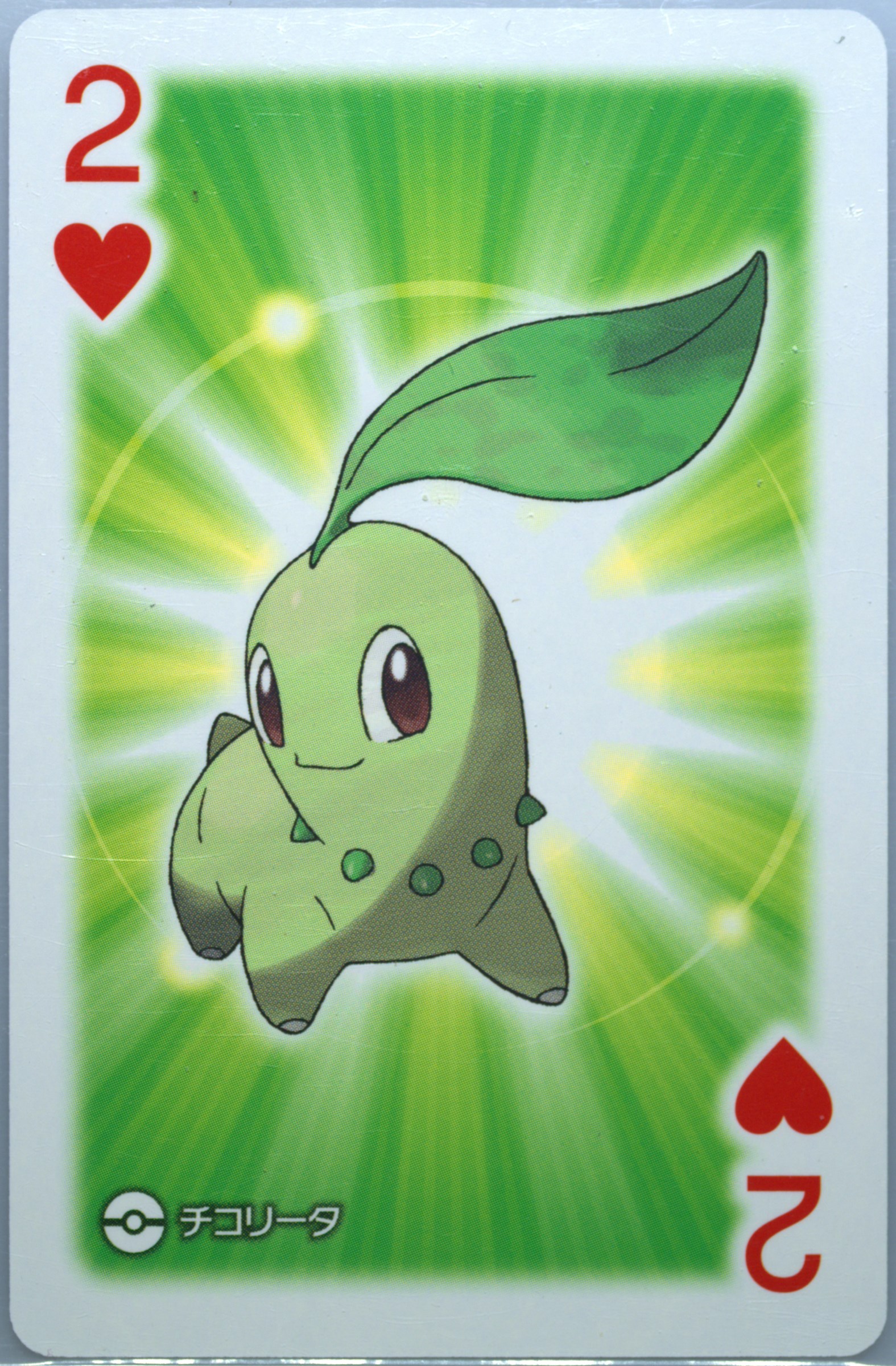 Chikorita